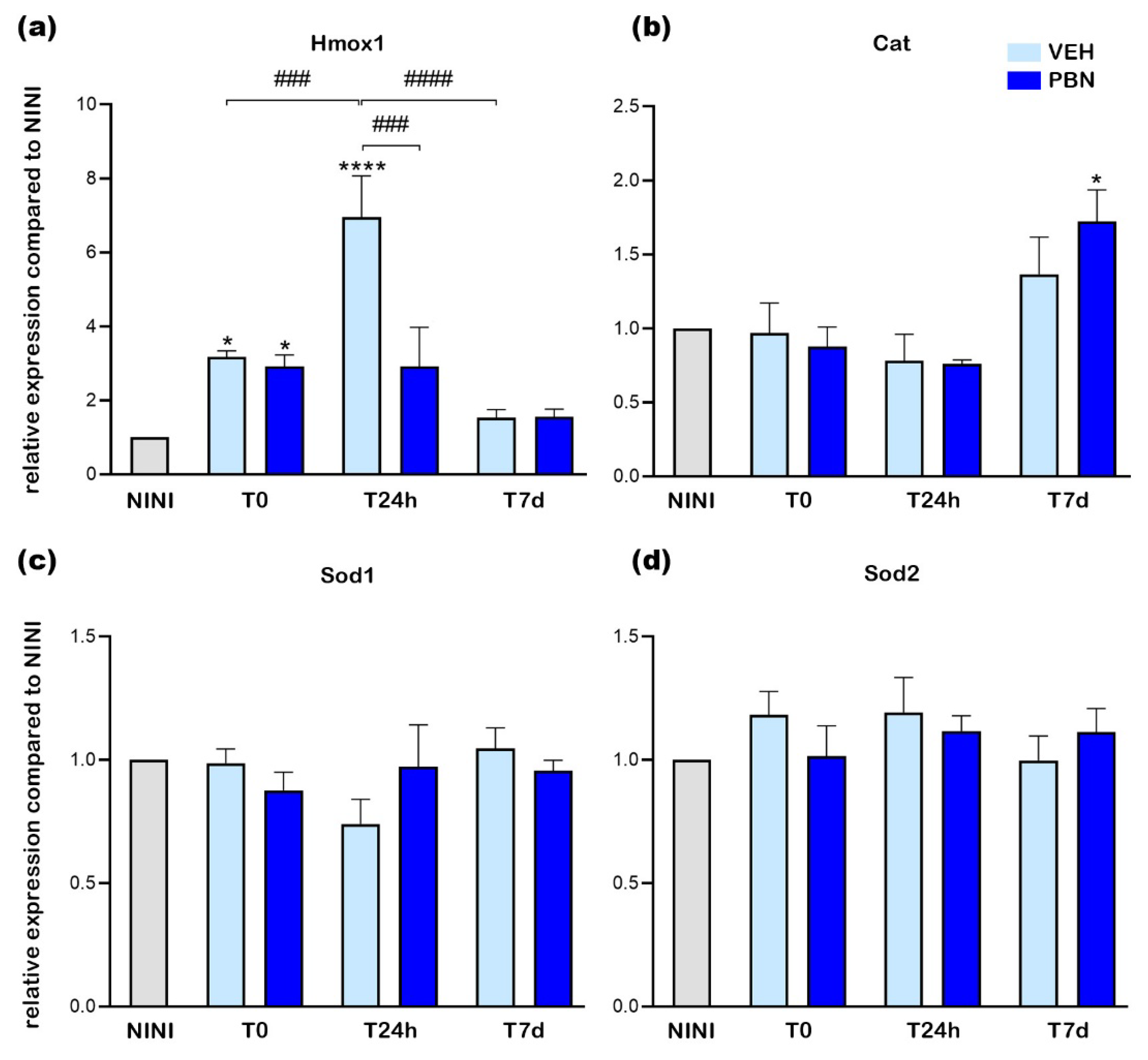 Preprints 185641 g006