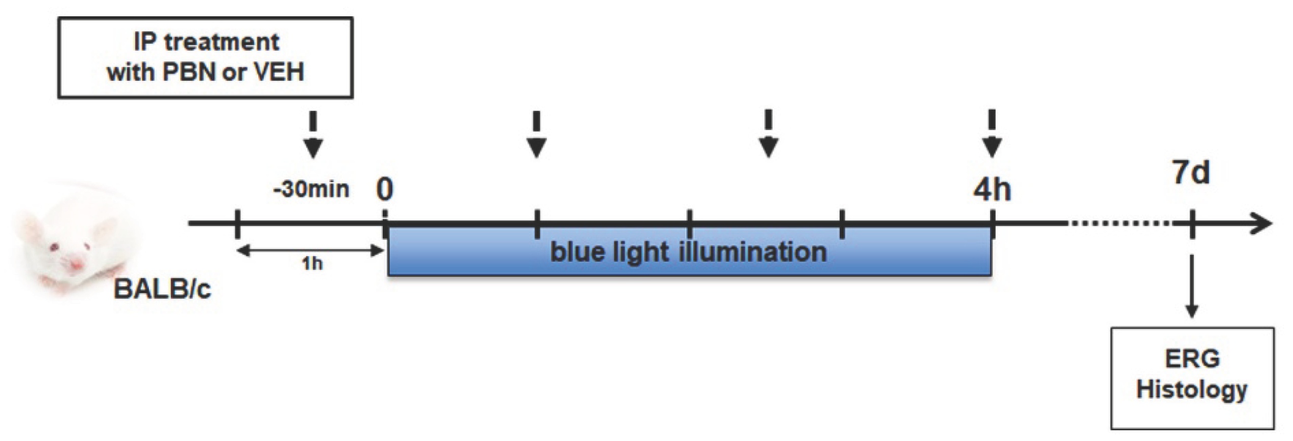Preprints 185641 sch001