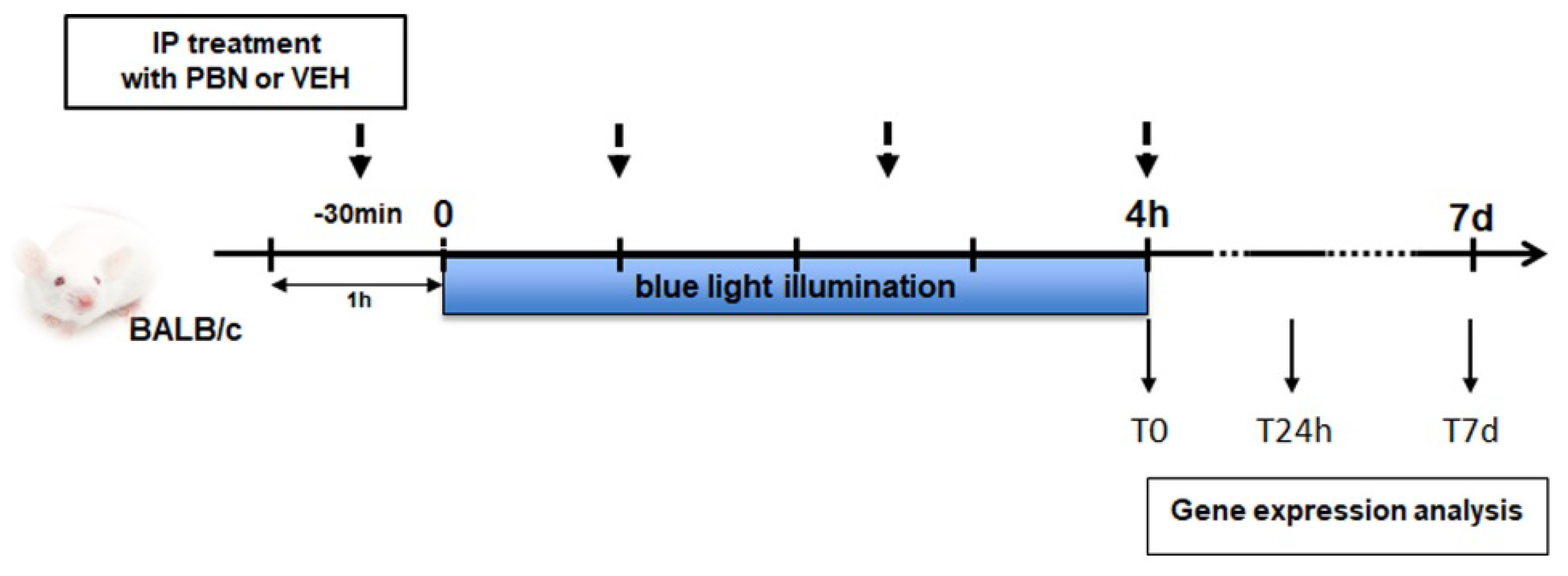 Preprints 185641 sch002