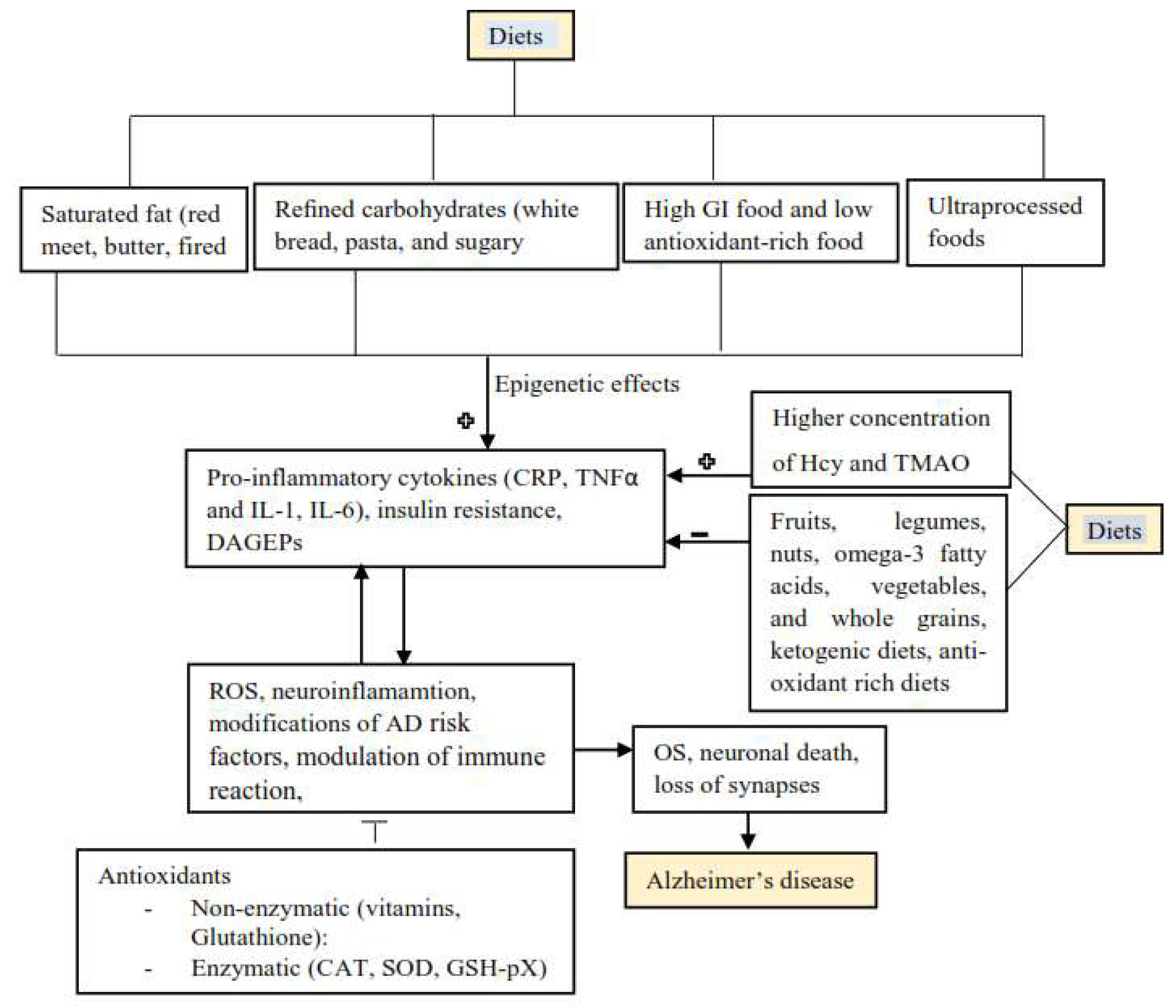 glutathione and alzheimer's 🧠 Alzheimer's, Iron Overload & Ferroptosis 🧠 A hidden driver of  neurodegeneration? Ferroptosis — a form of iron-induced cell death — is now  being linked to Alzheimer's and dementia. When iron builds main image 0