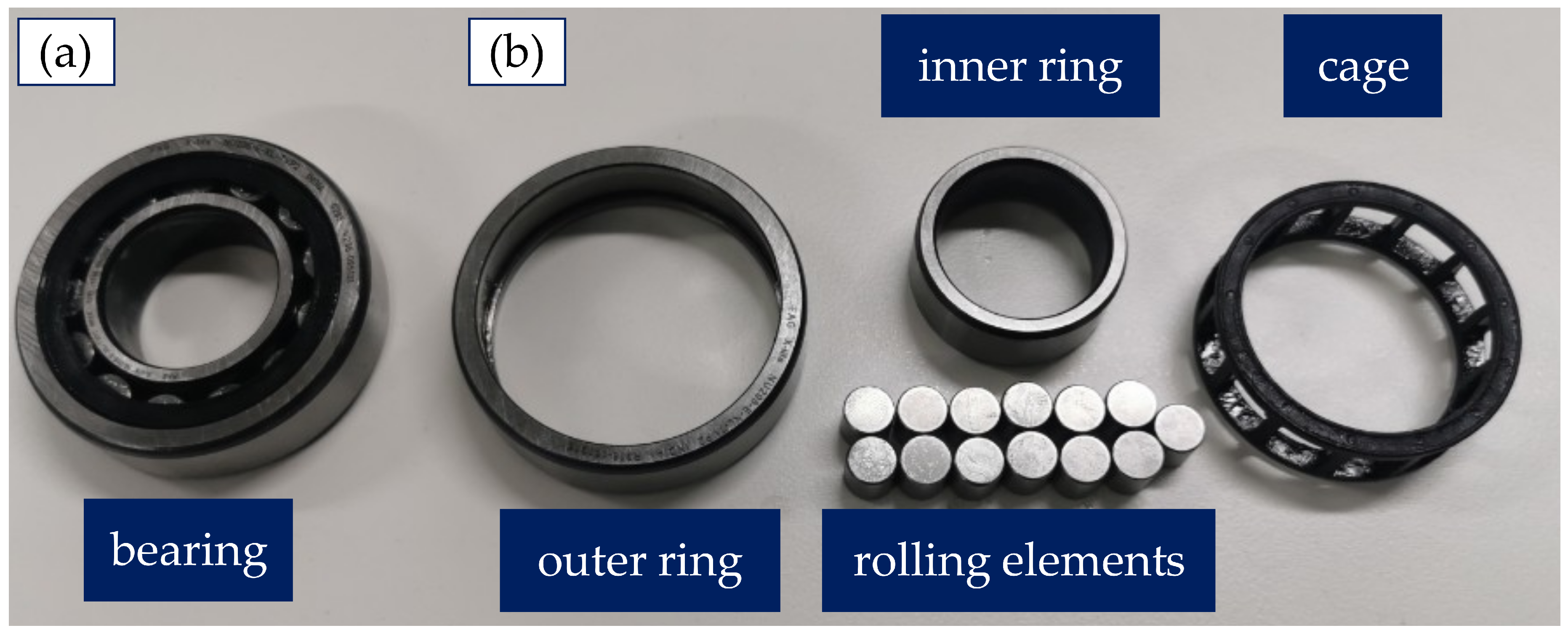 Preprints 155138 g001