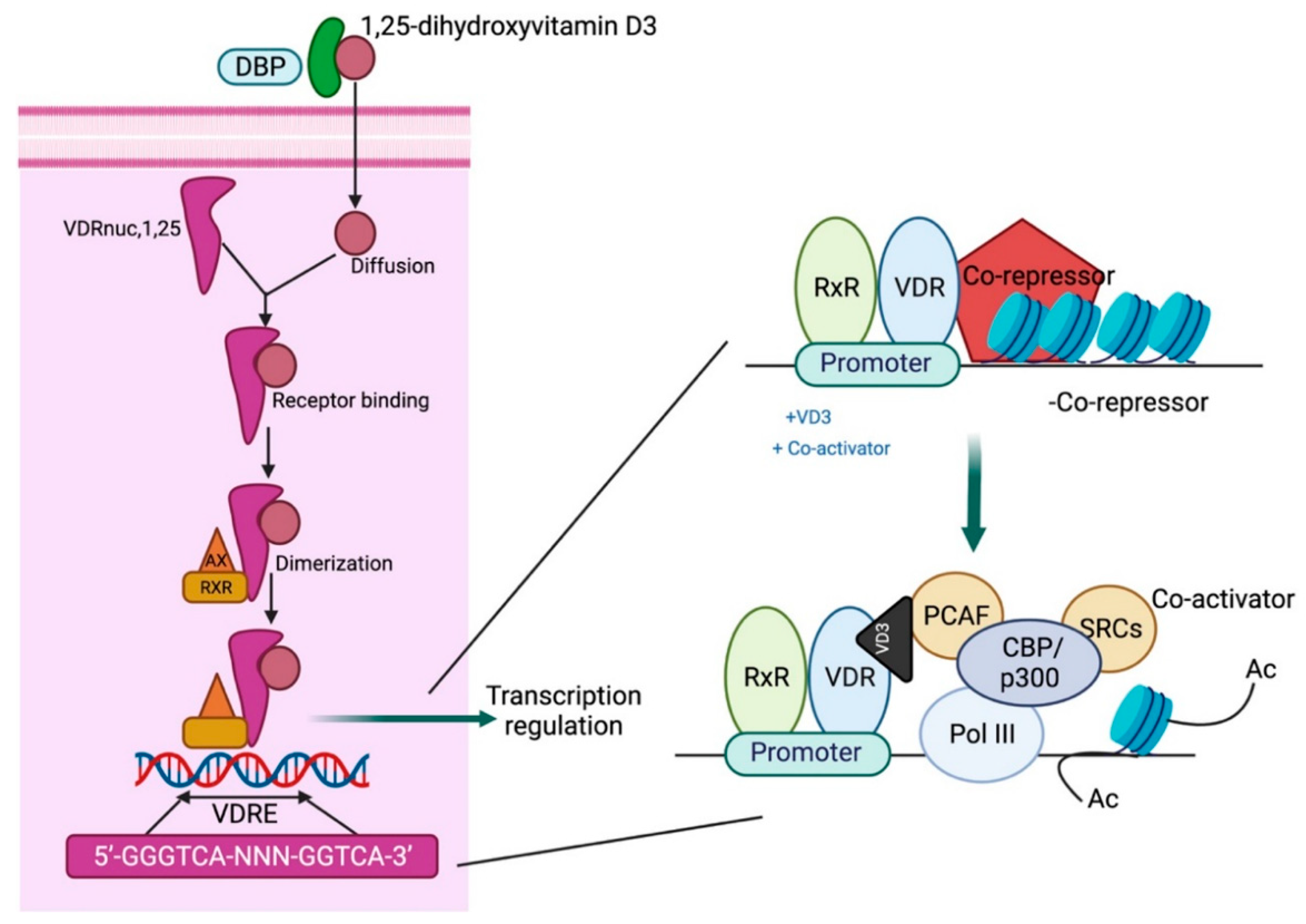 Preprints 149890 g002
