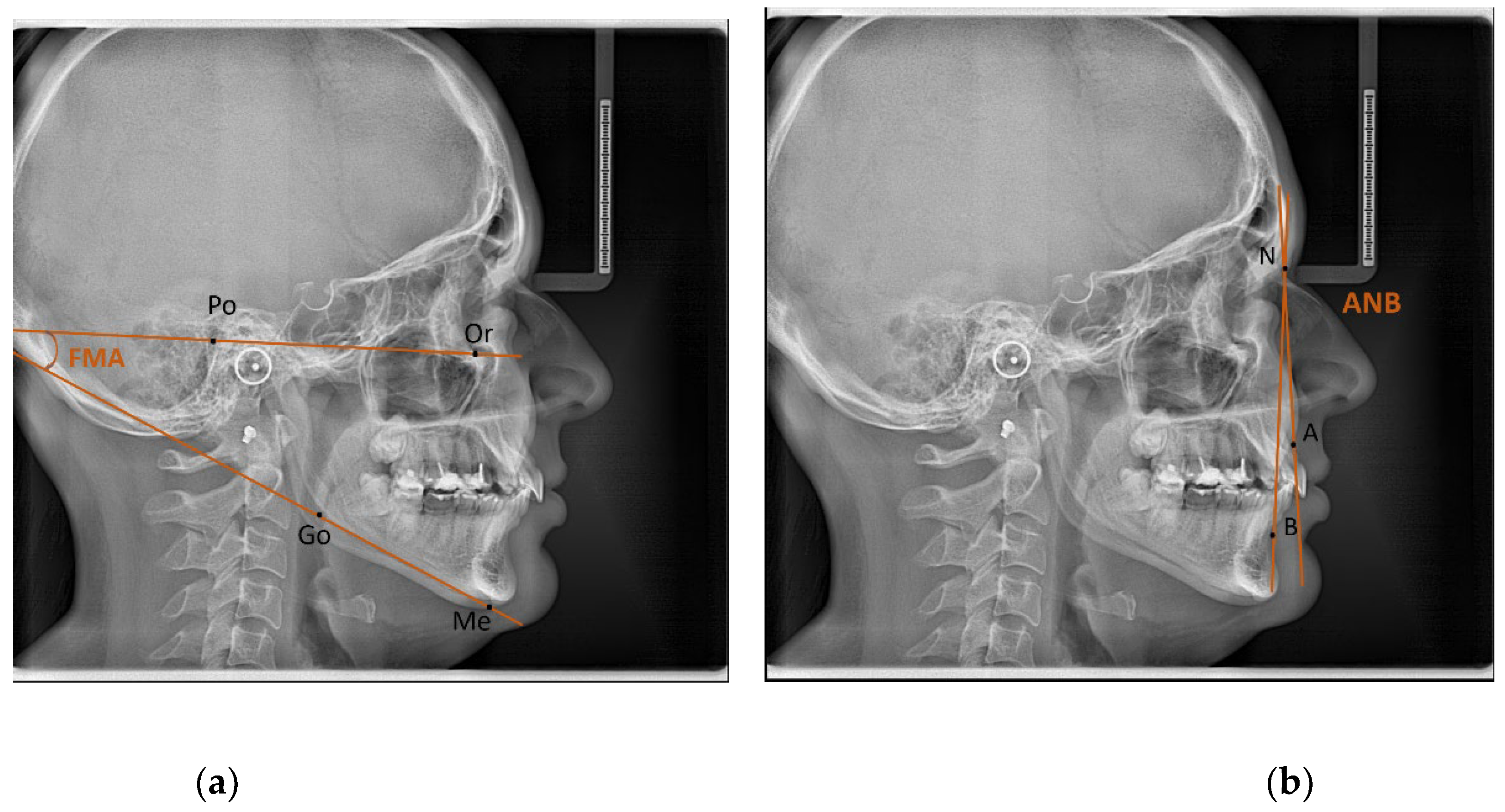 Preprints 146687 g001a