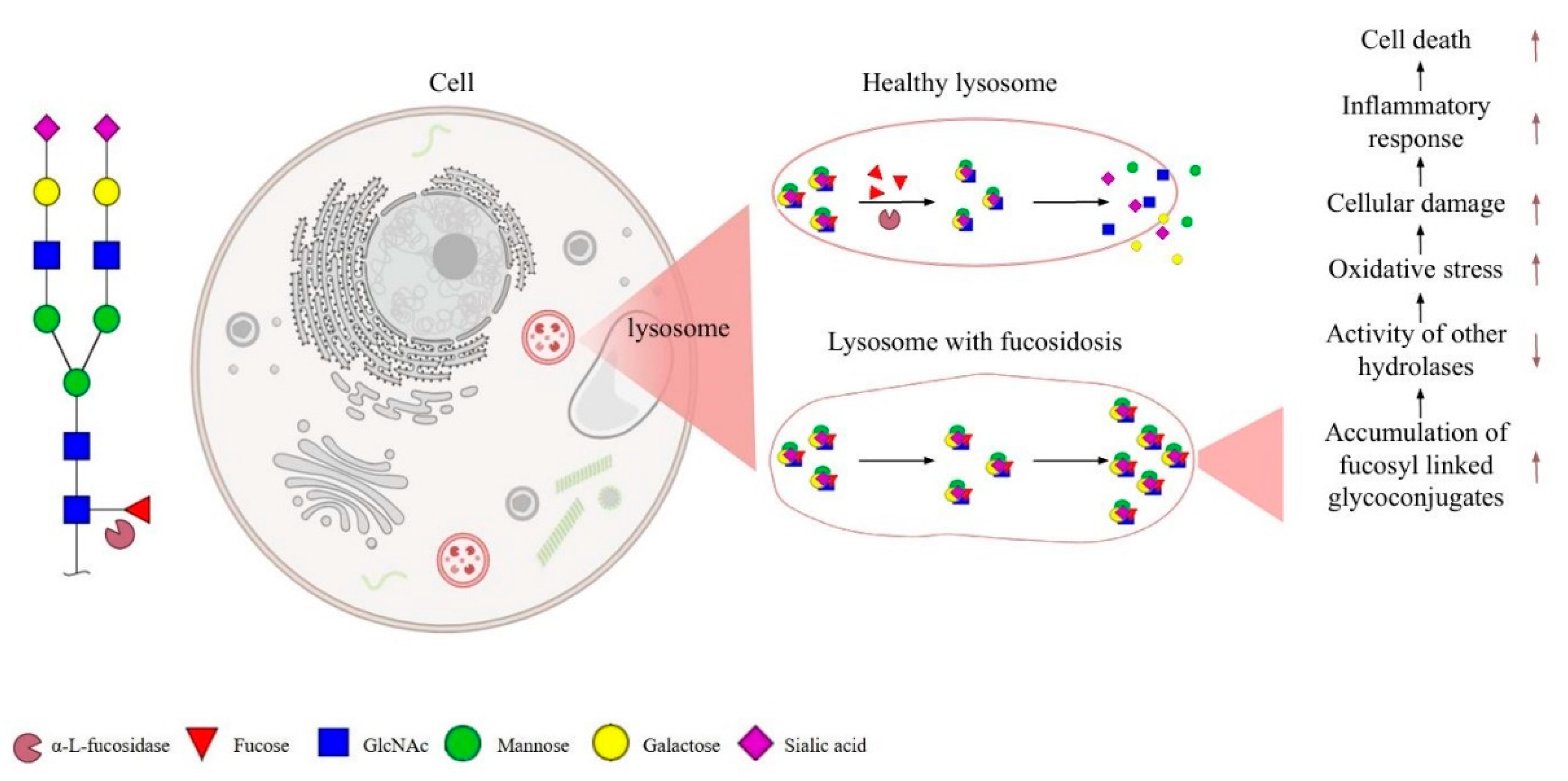 Preprints 142400 g001