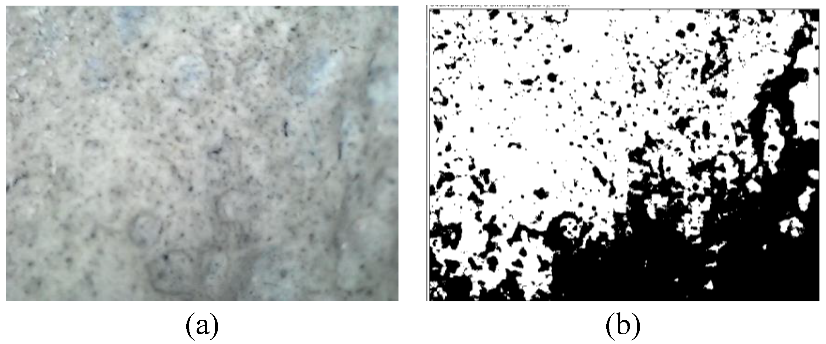 Preprints 121699 g002a