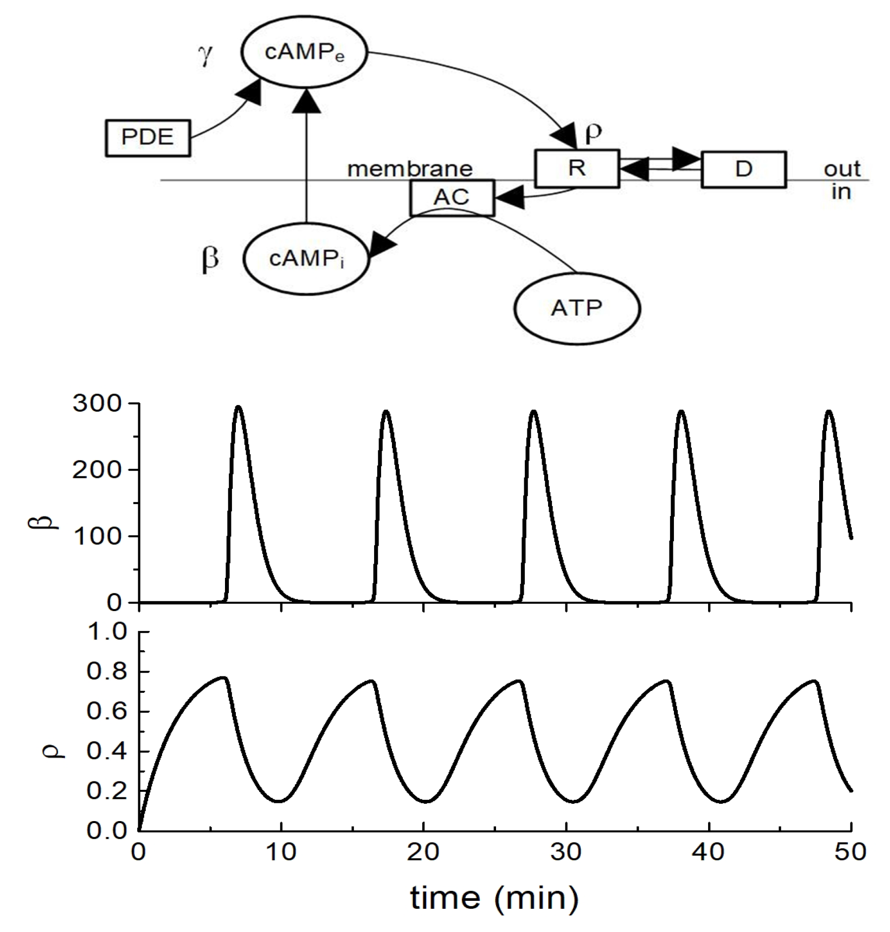 Preprints 147648 g003