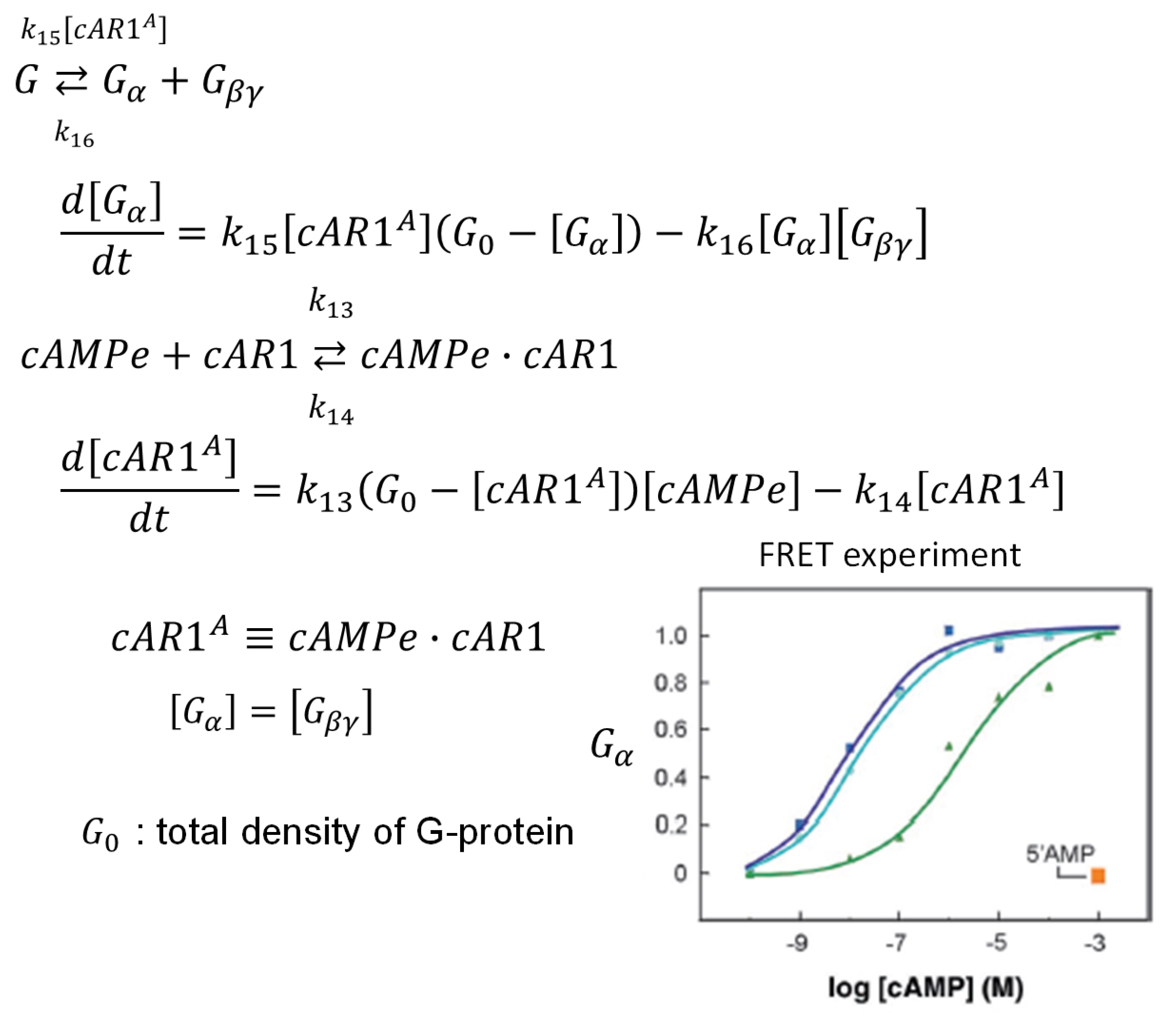 Preprints 147648 g004