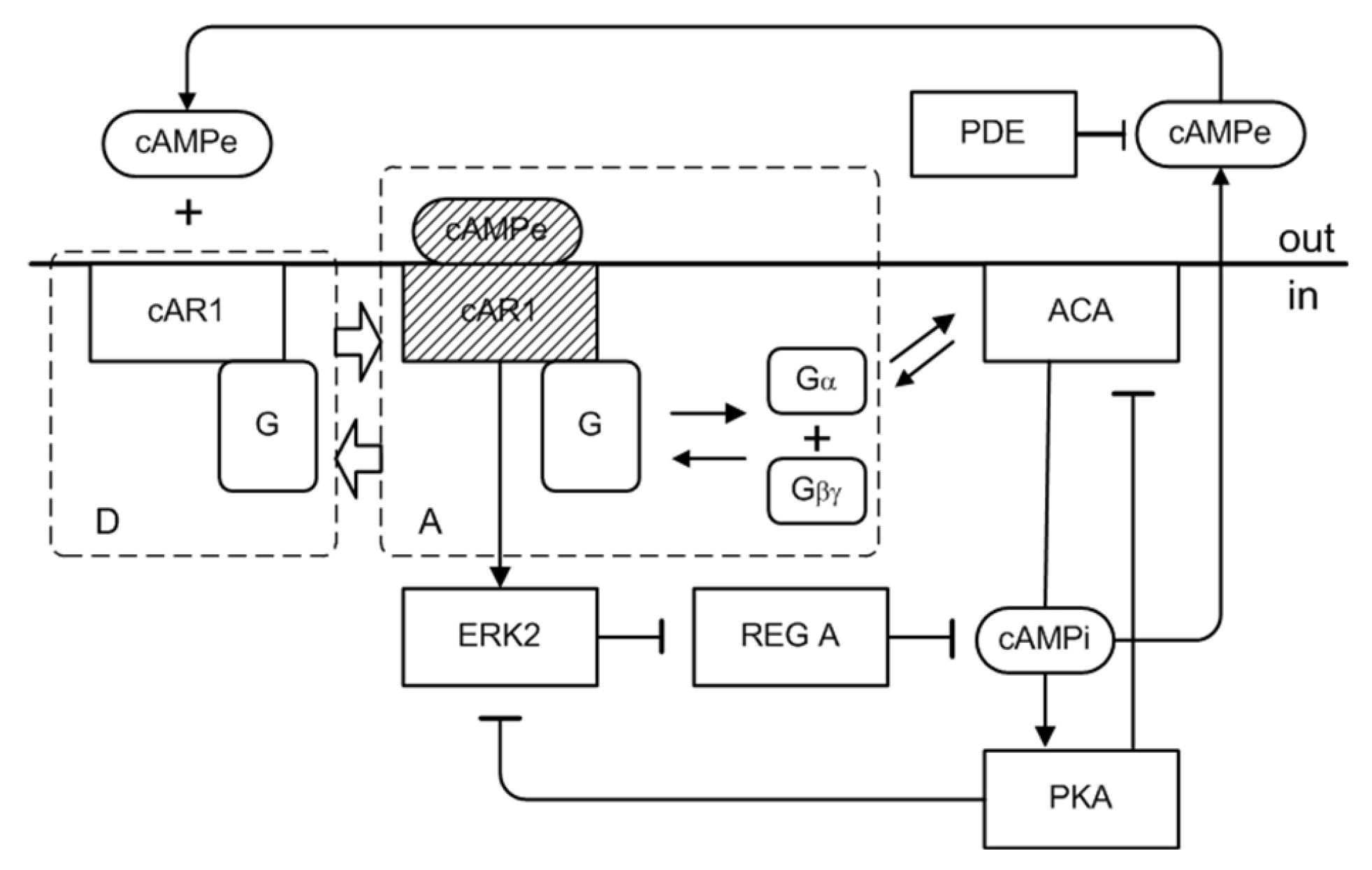 Preprints 147648 g005