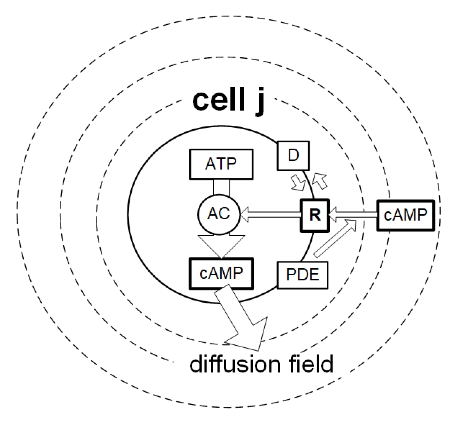 Preprints 147648 g008
