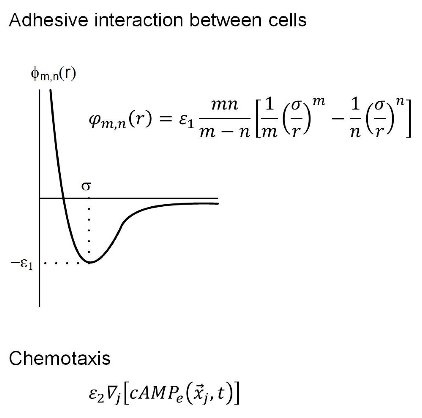 Preprints 147648 g009