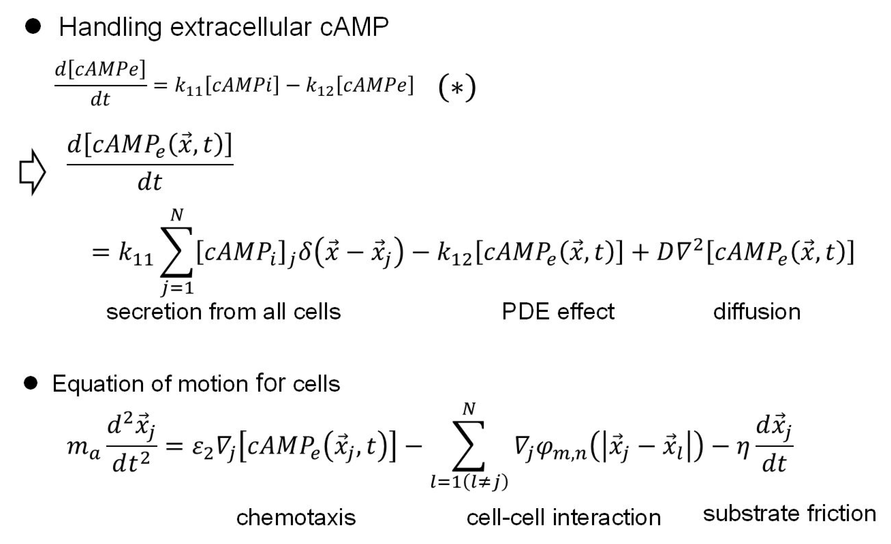 Preprints 147648 g010