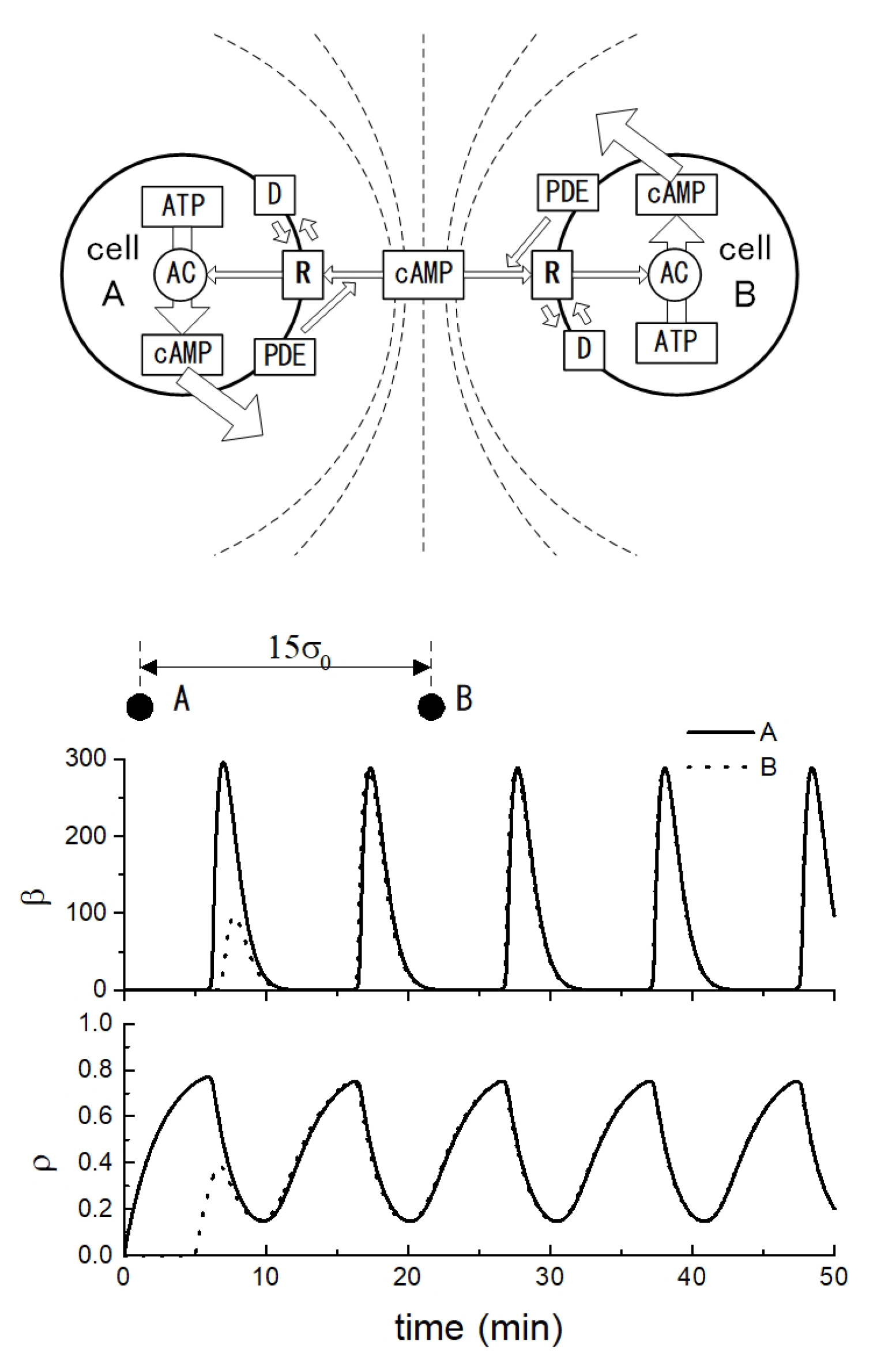 Preprints 147648 g012