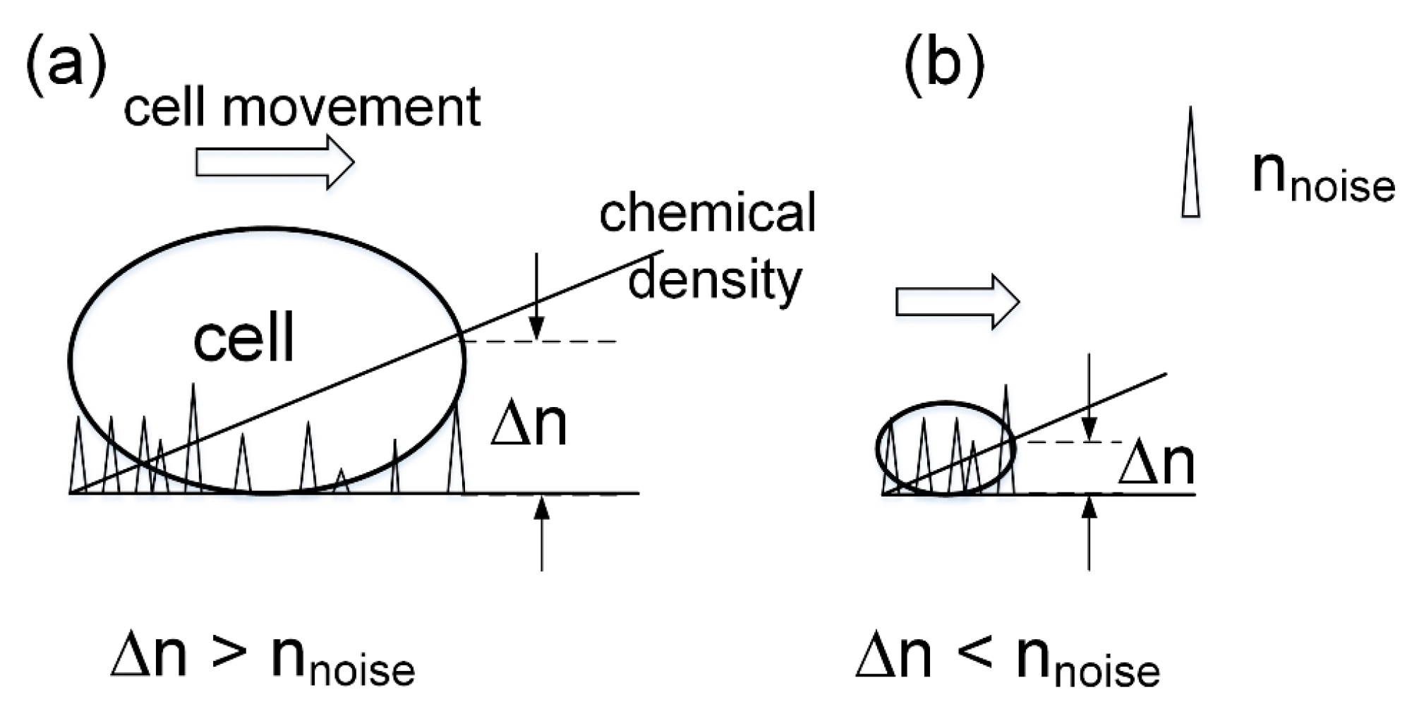 Preprints 147648 g015