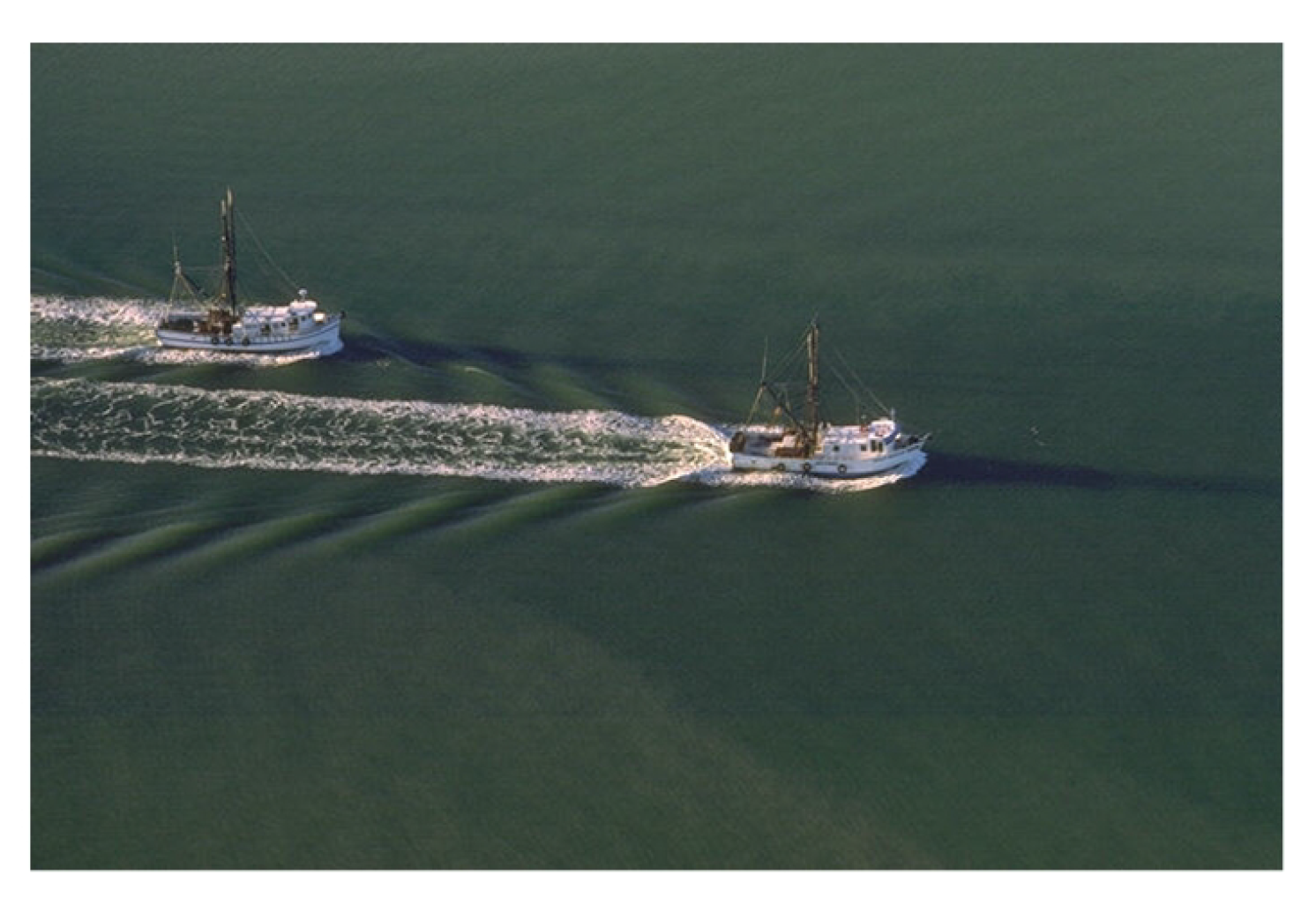 Preprints 147648 g018