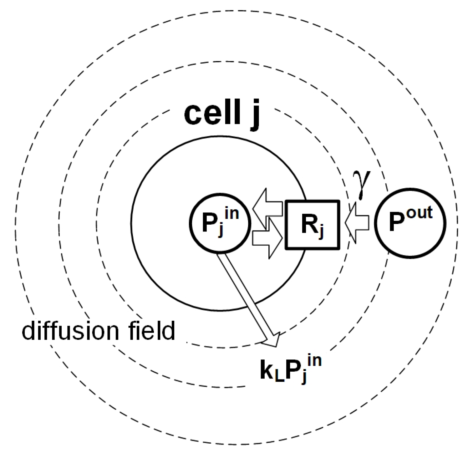 Preprints 147648 g020