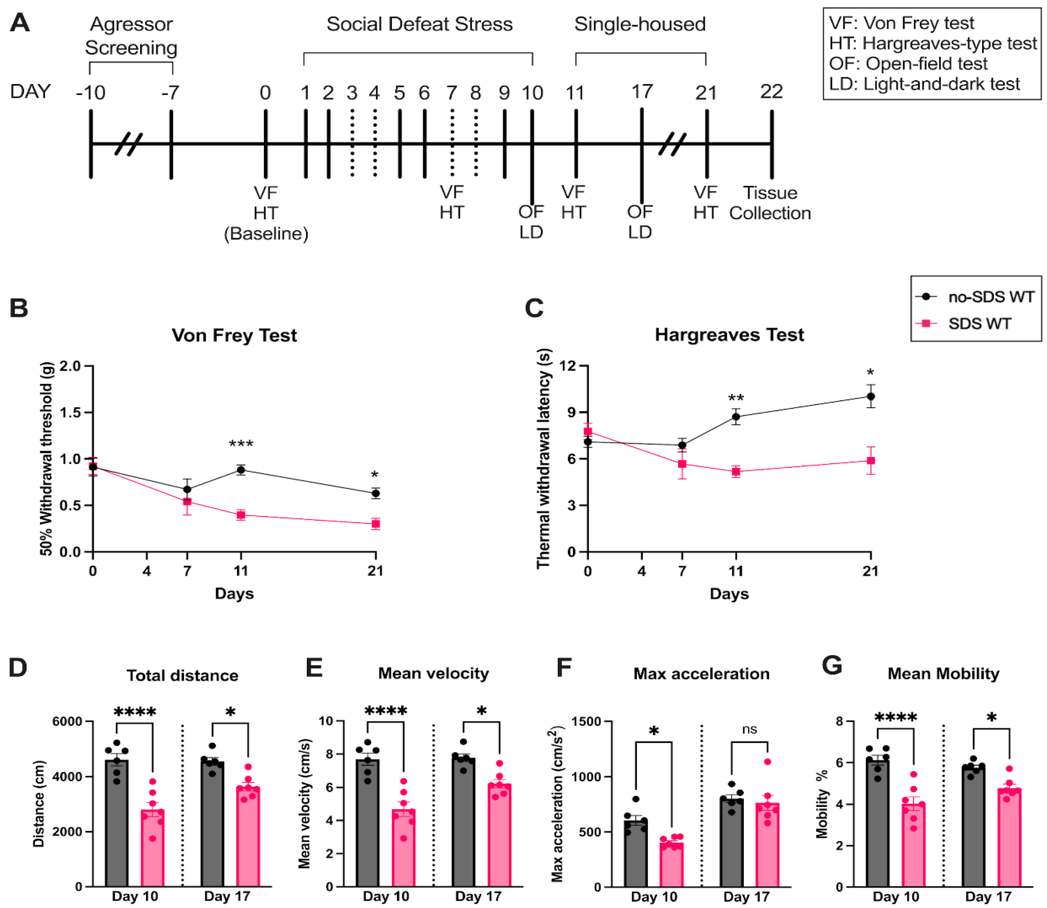 Preprints 146859 g001