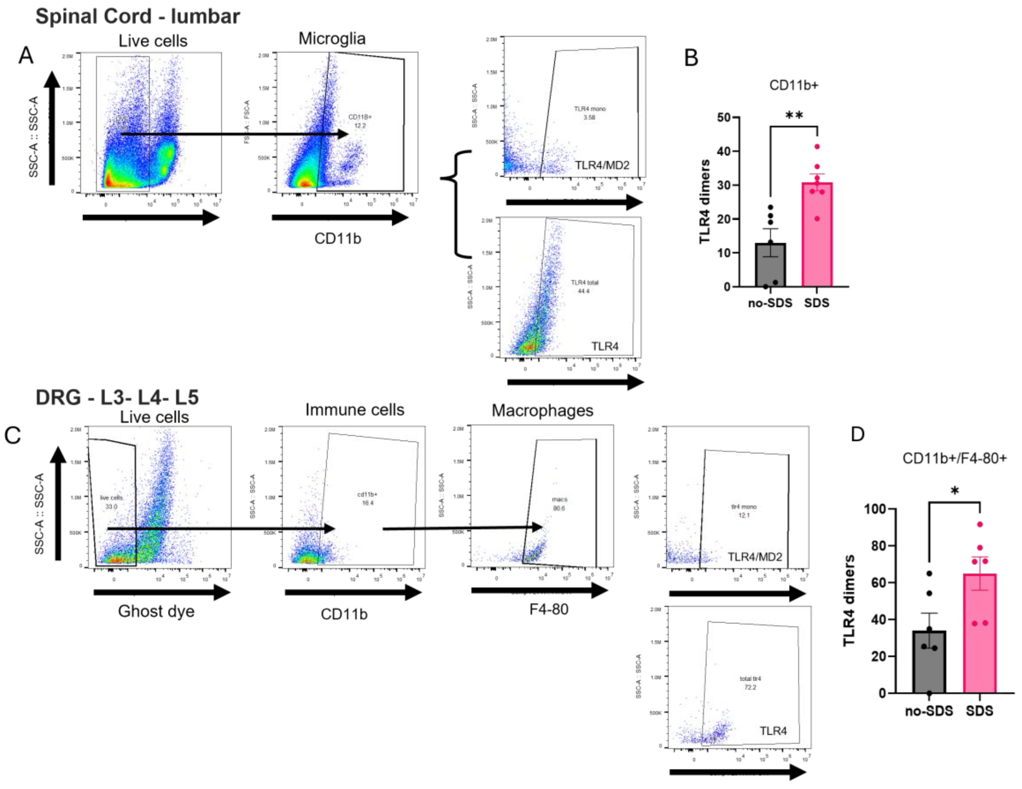 Preprints 146859 g003