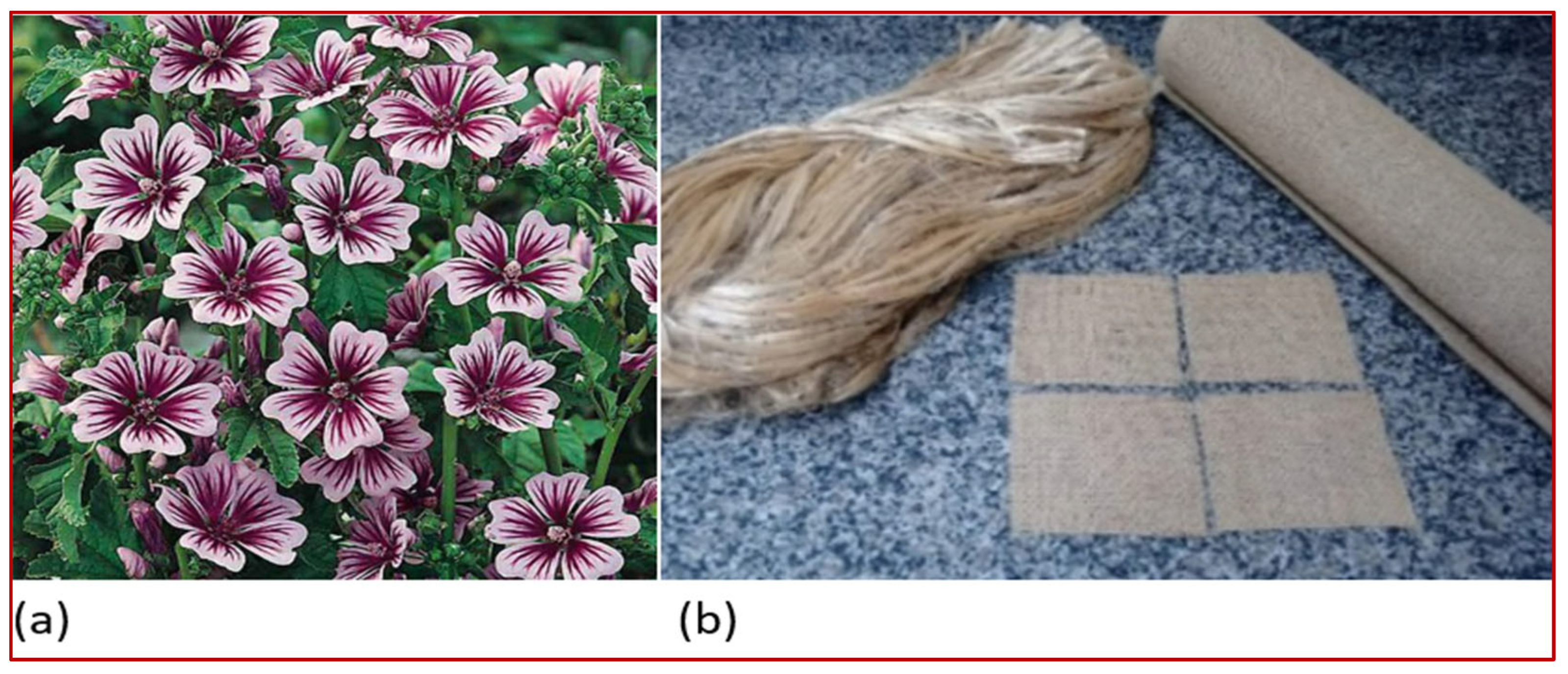 Preprints 161209 g002