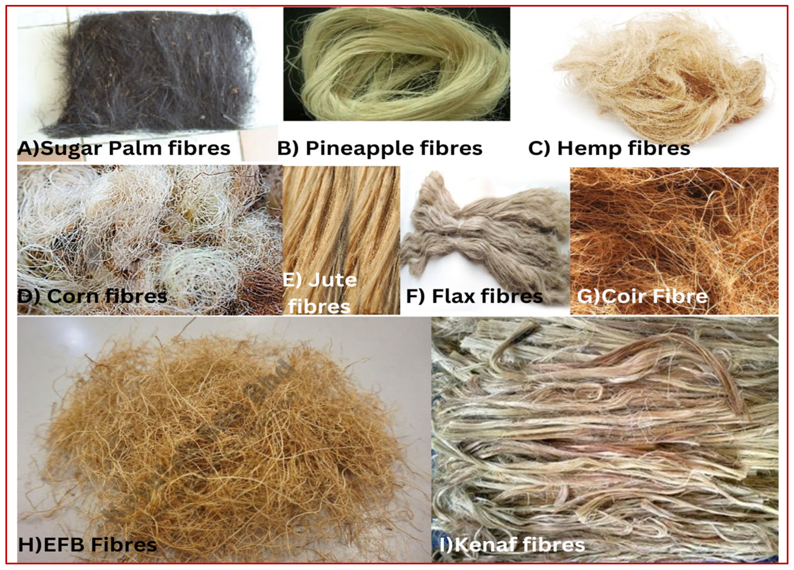 Preprints 161209 g003