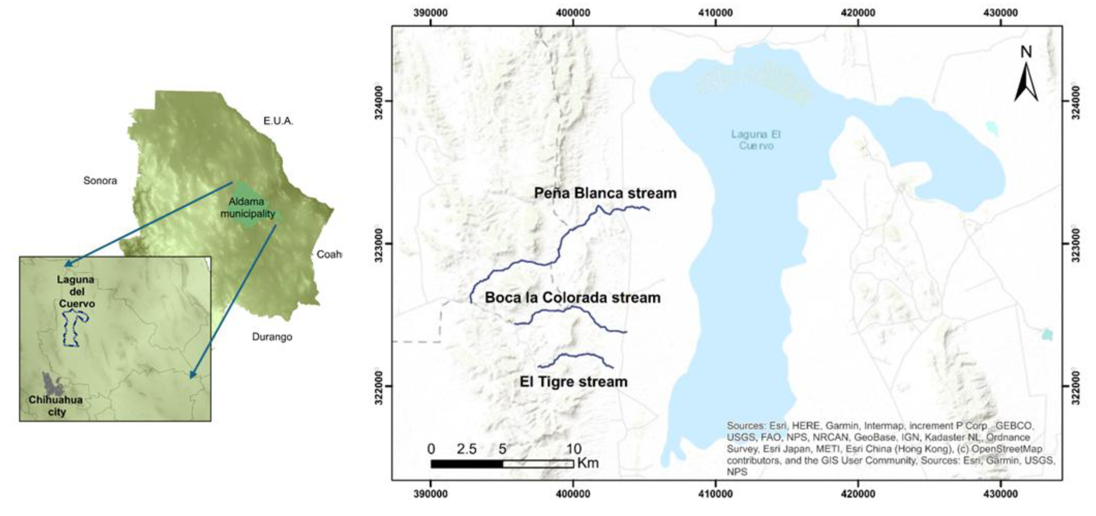 Preprints 150224 g001