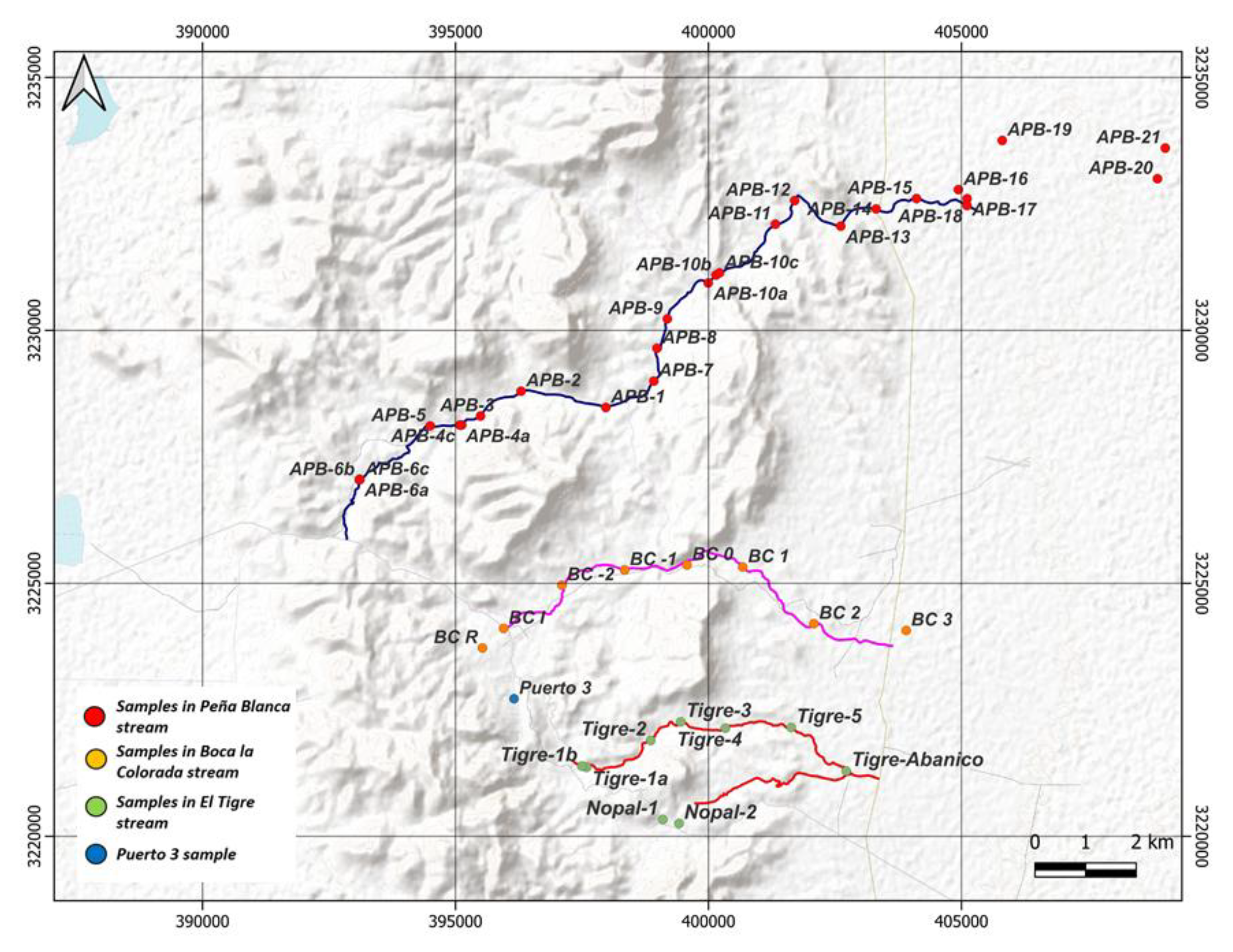 Preprints 150224 g002