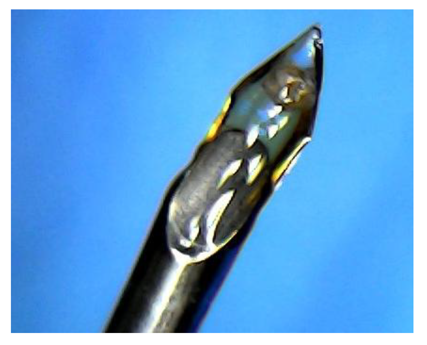 Preprints 150224 g006