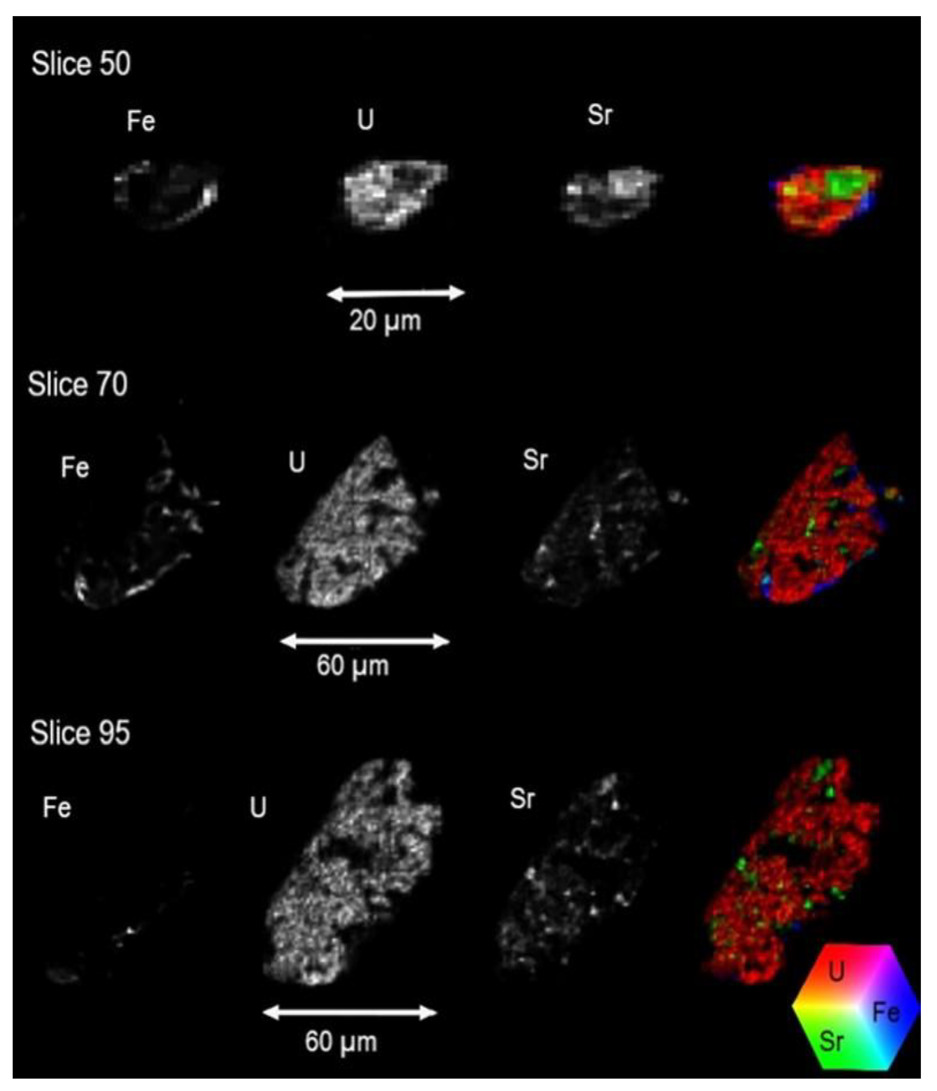 Preprints 150224 g013
