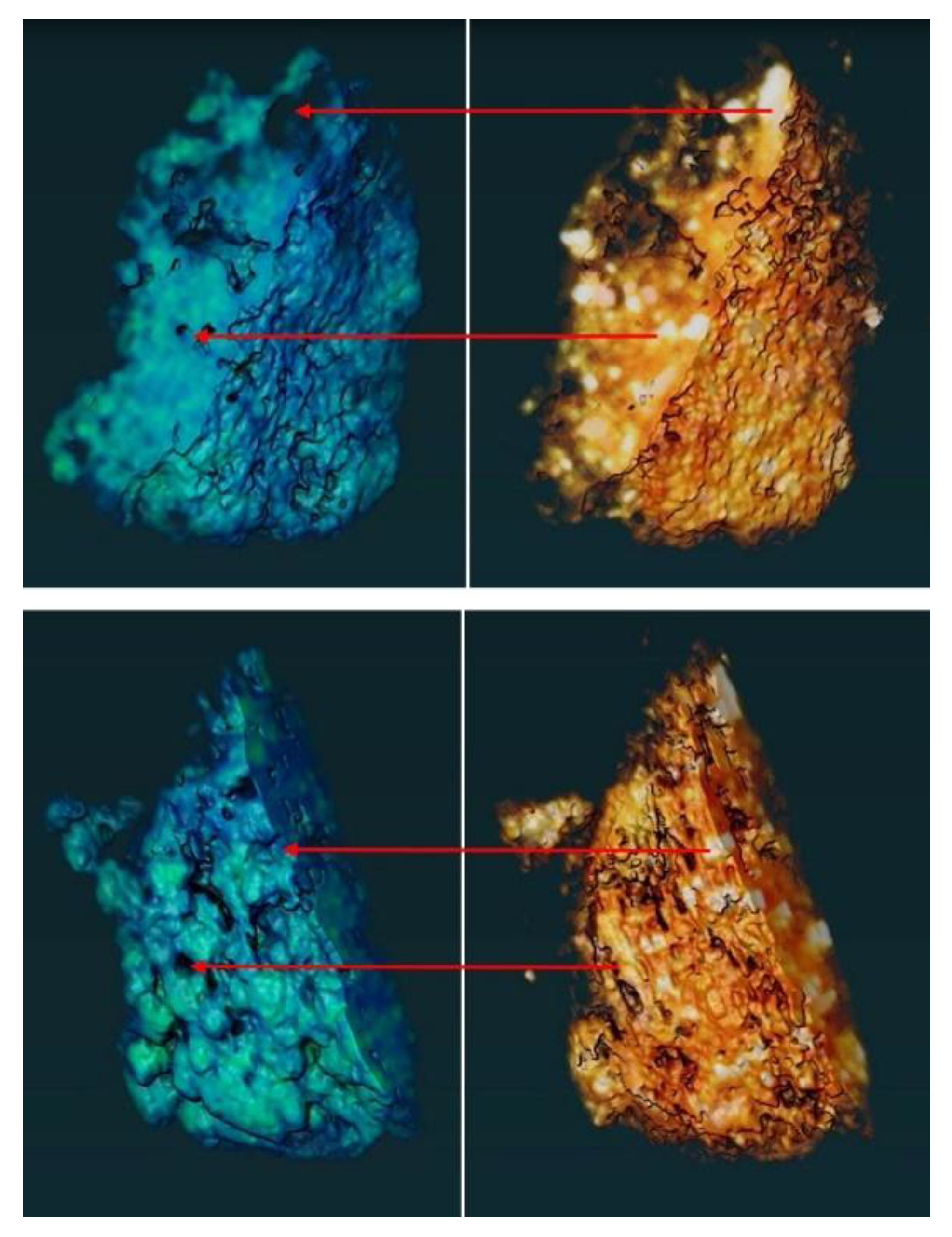Preprints 150224 g014