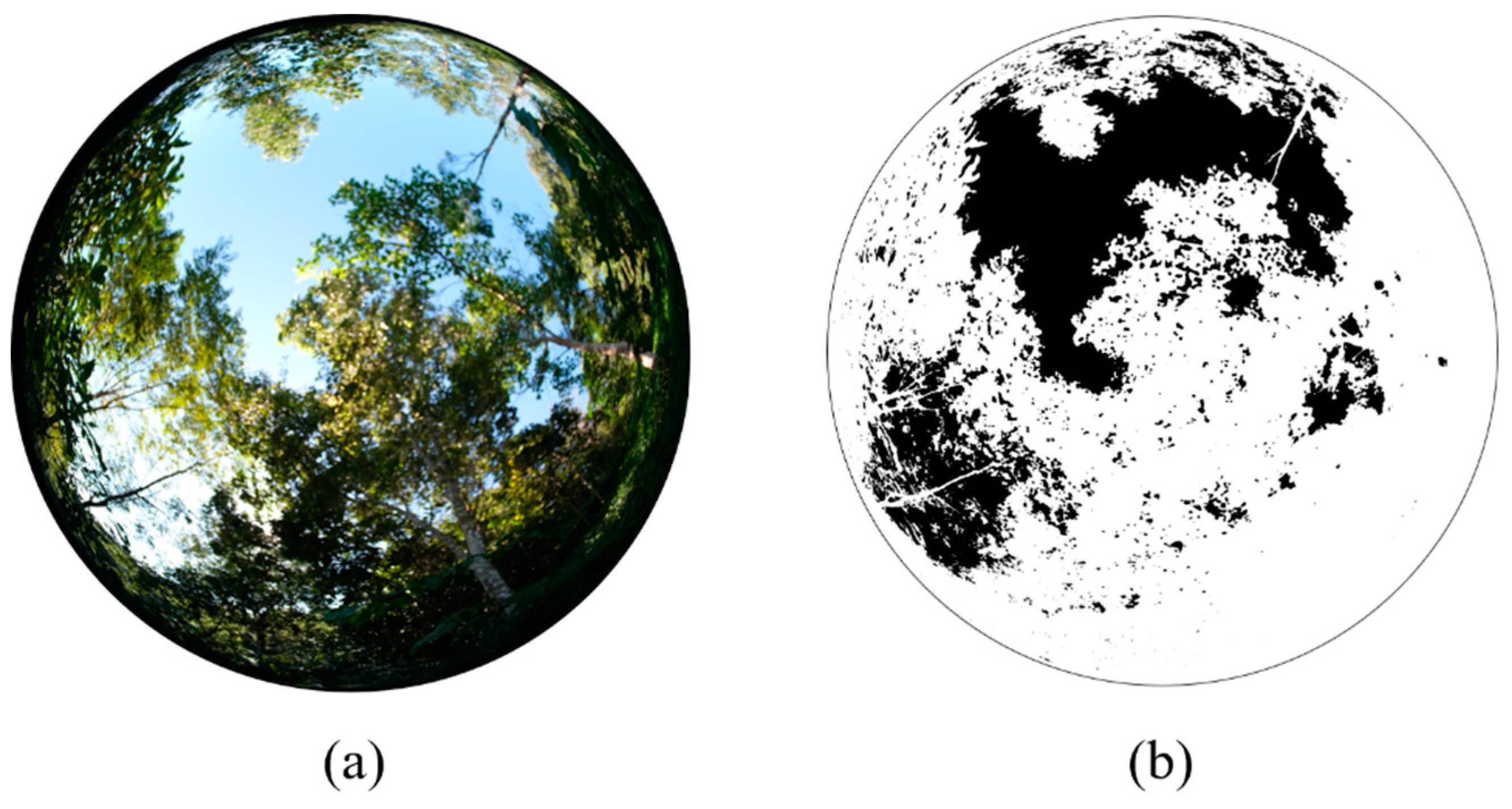 Preprints 156674 g006