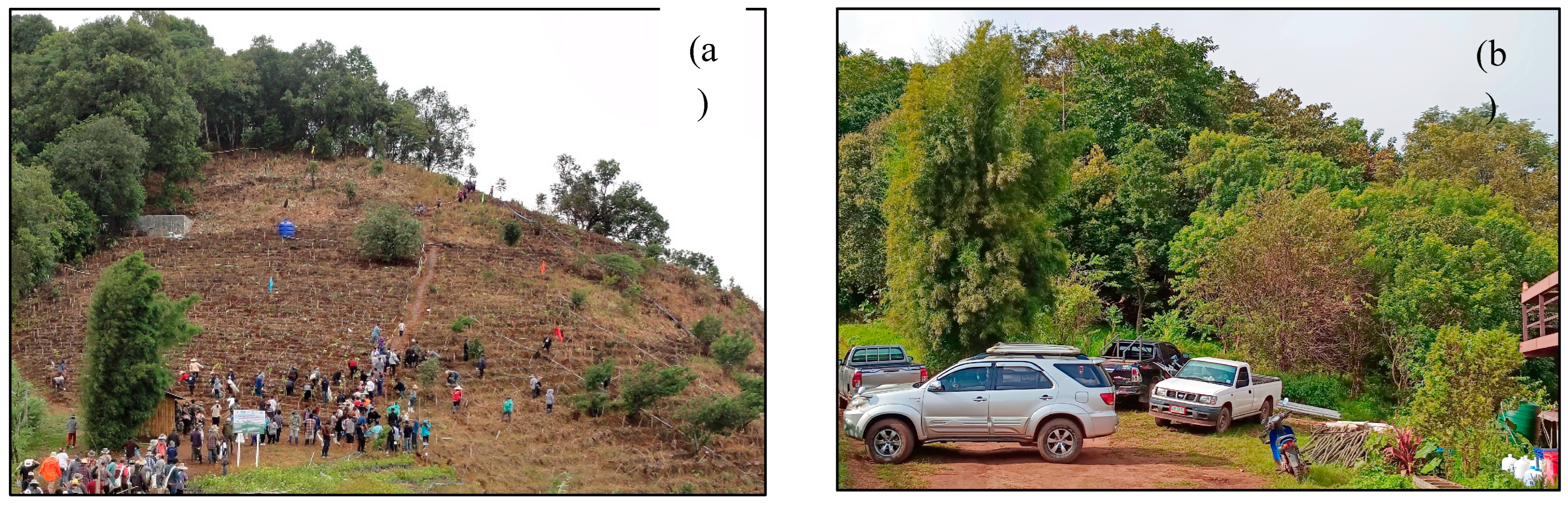 Preprints 156674 g009