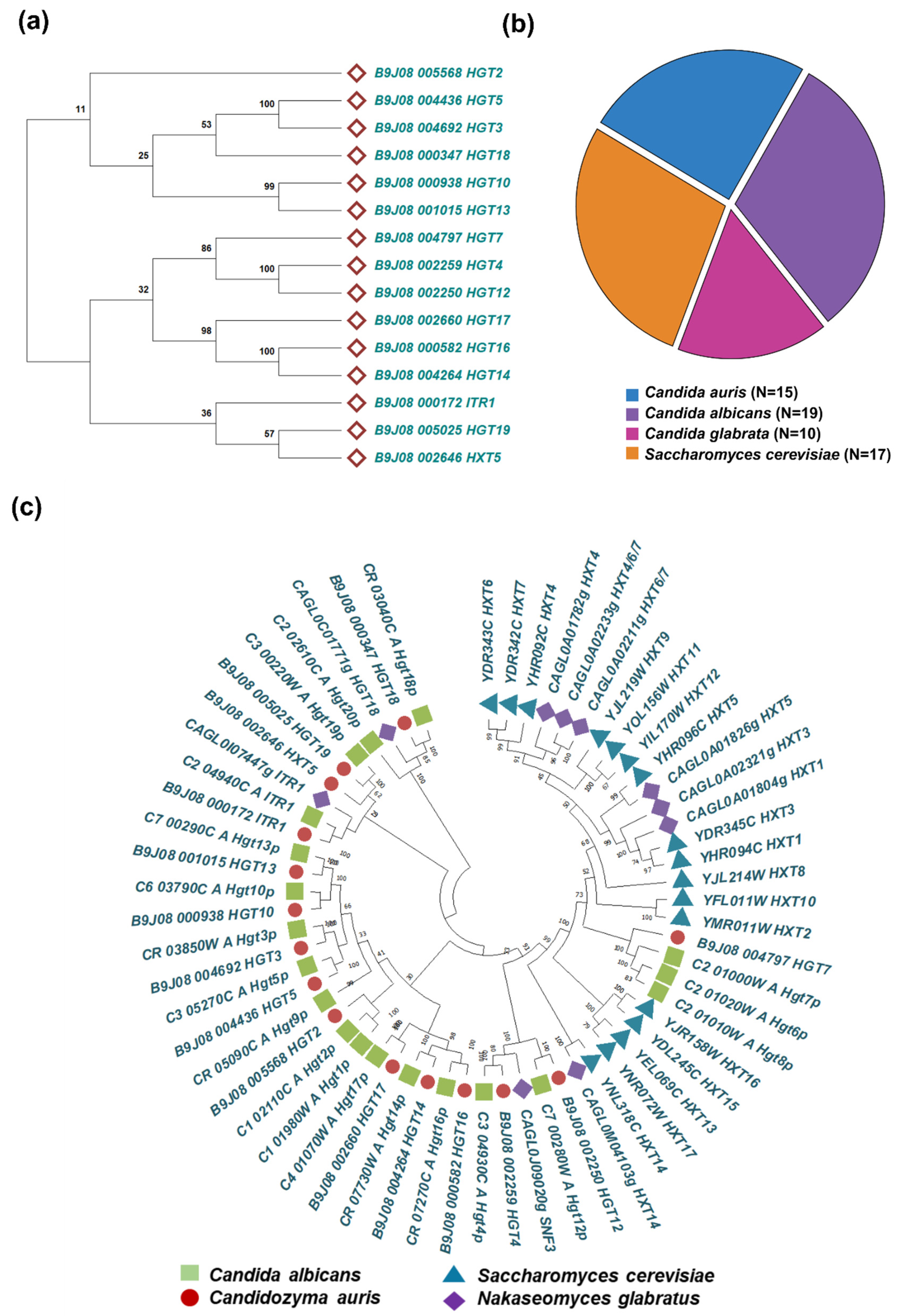 Preprints 191953 g001