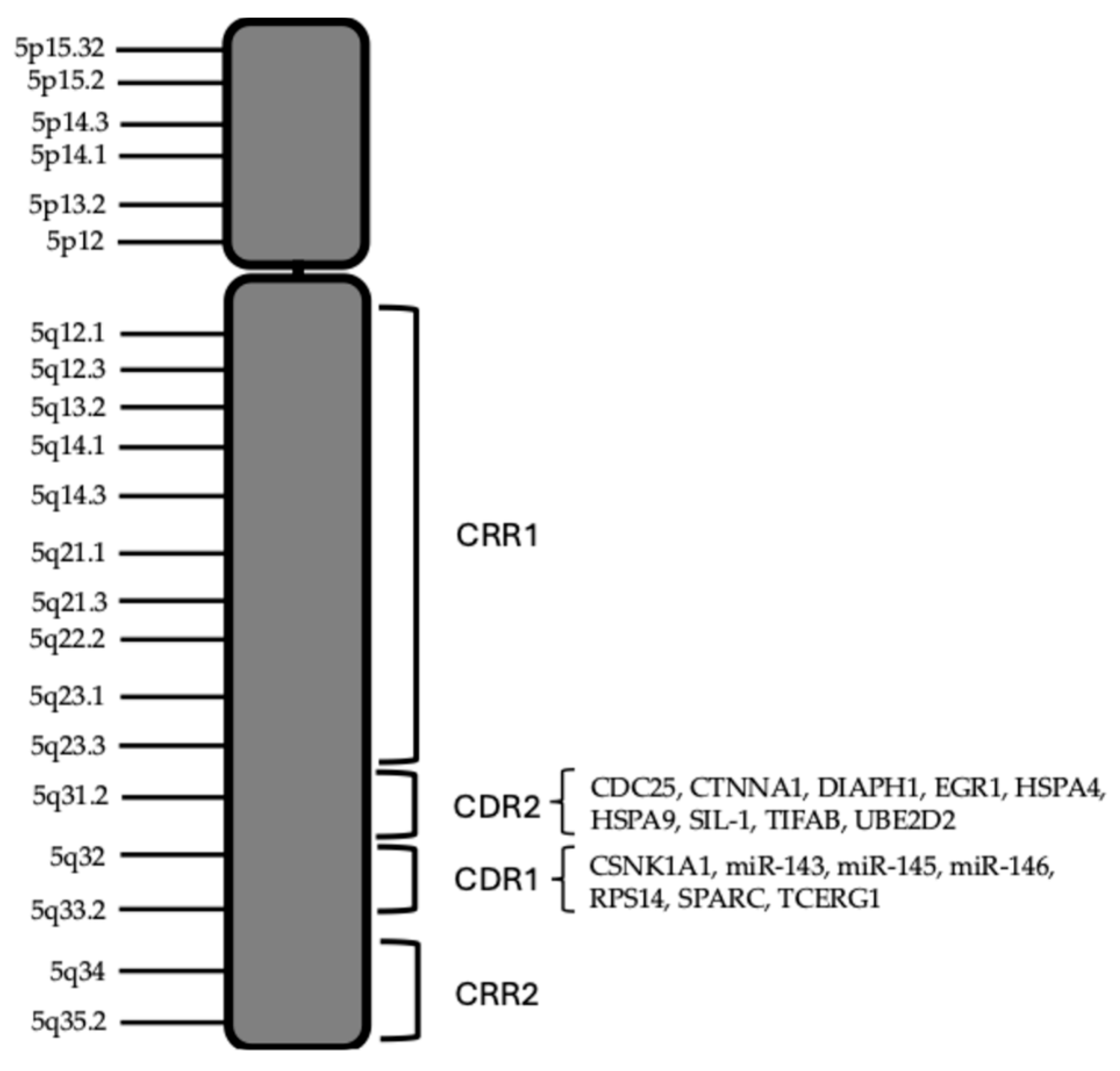 Preprints 180411 g003