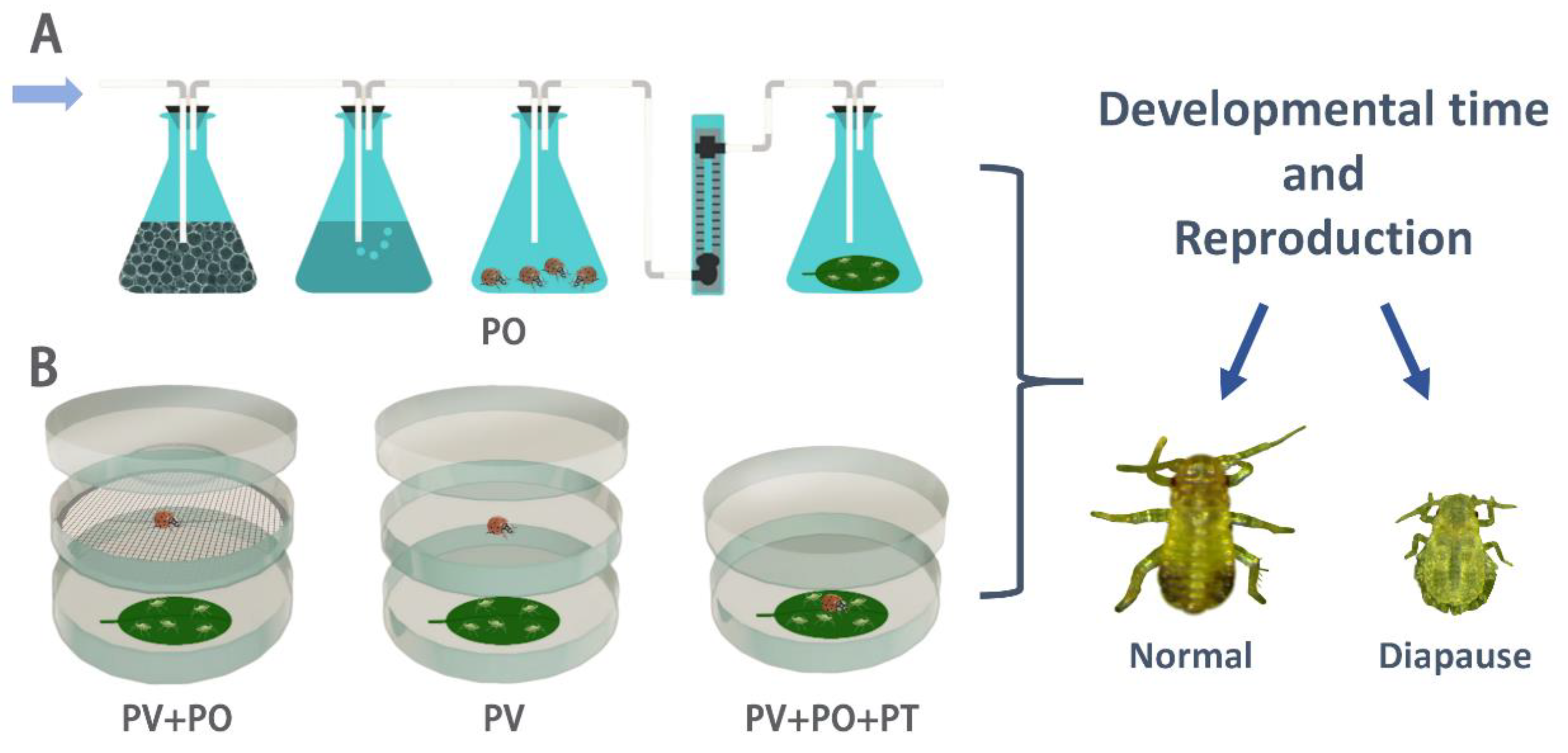 Preprints 161063 g001