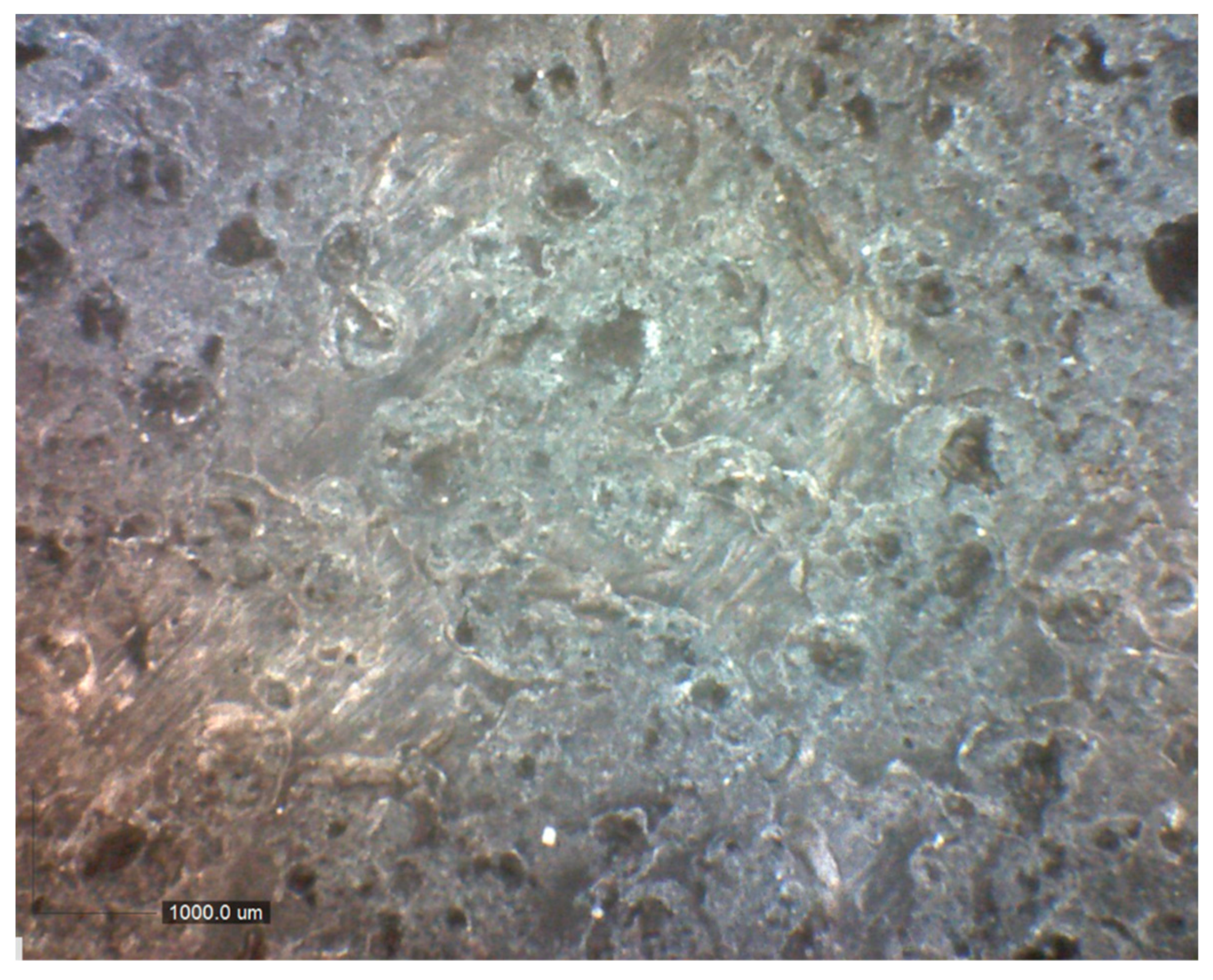 Preprints 91969 g001