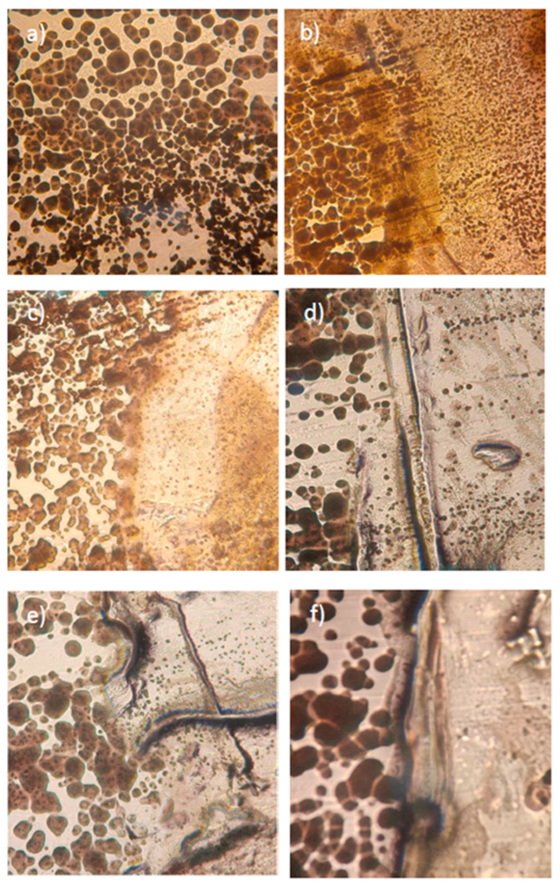 Preprints 91969 g014