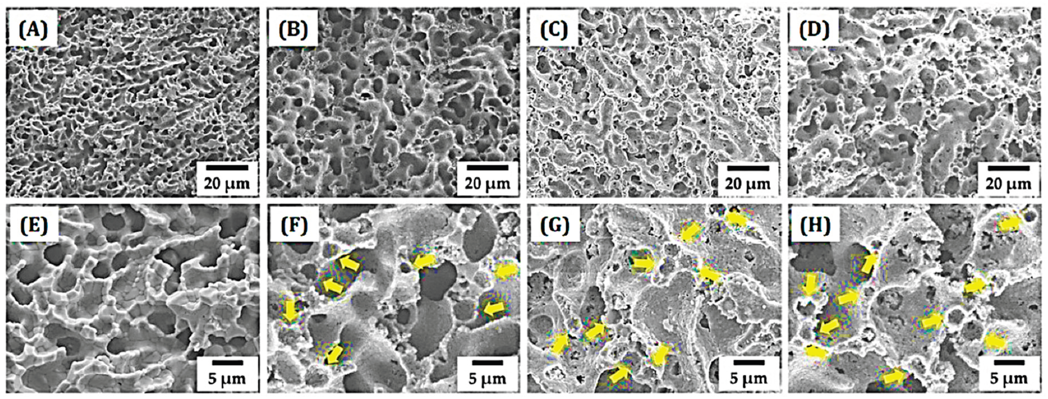 Preprints 207610 g001