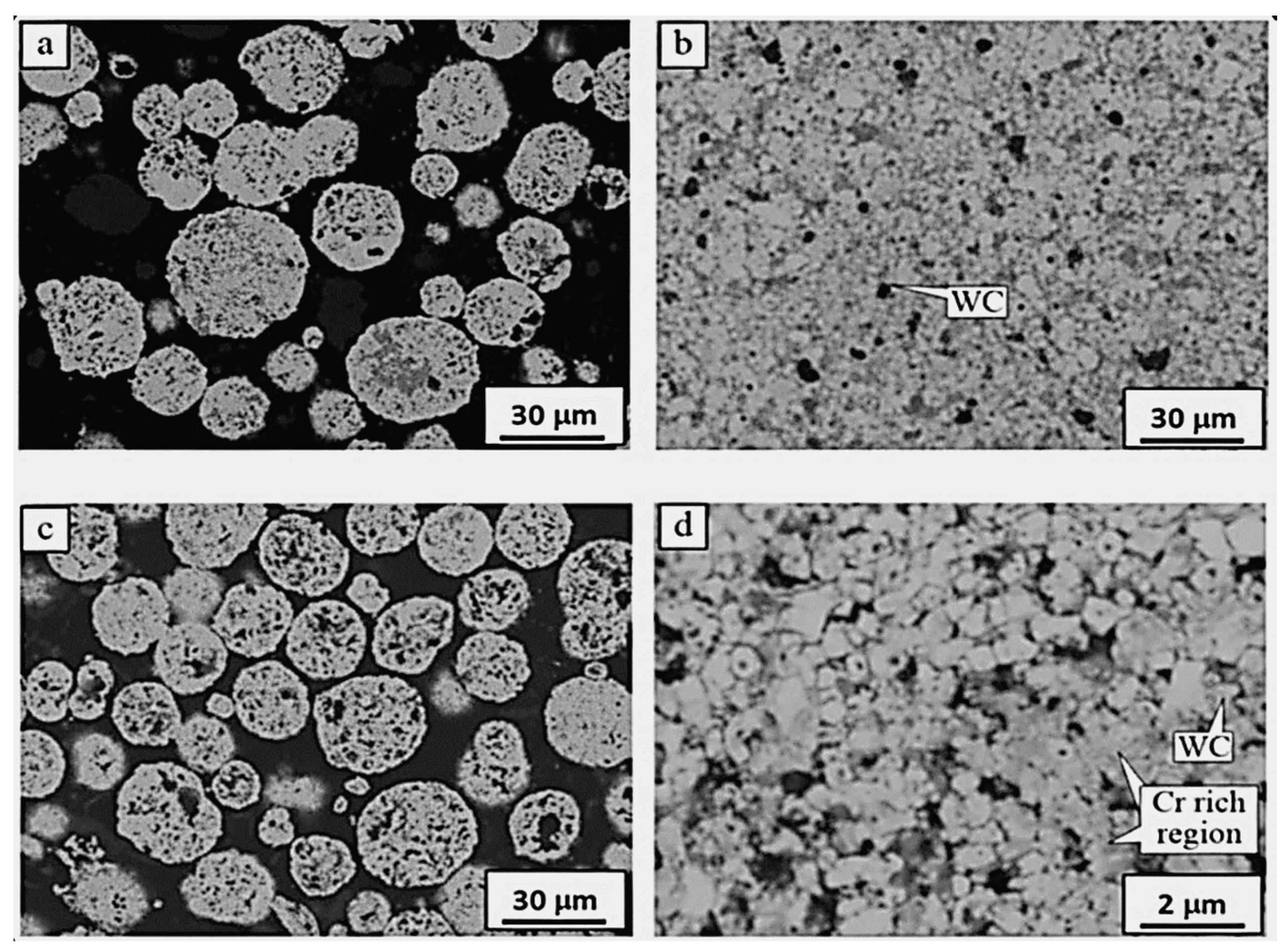 Preprints 207610 g003
