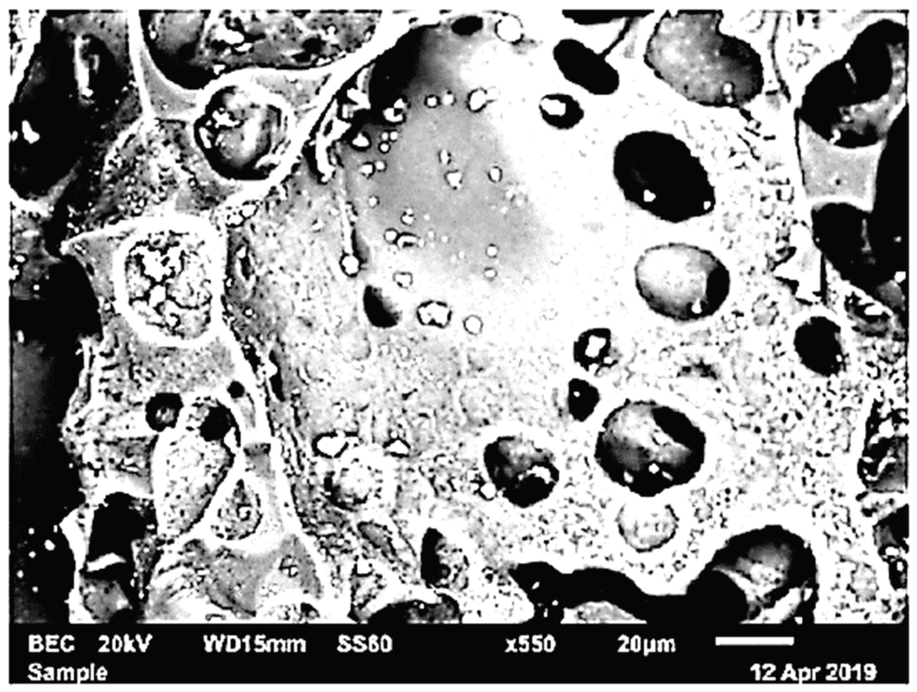 Preprints 207610 g004