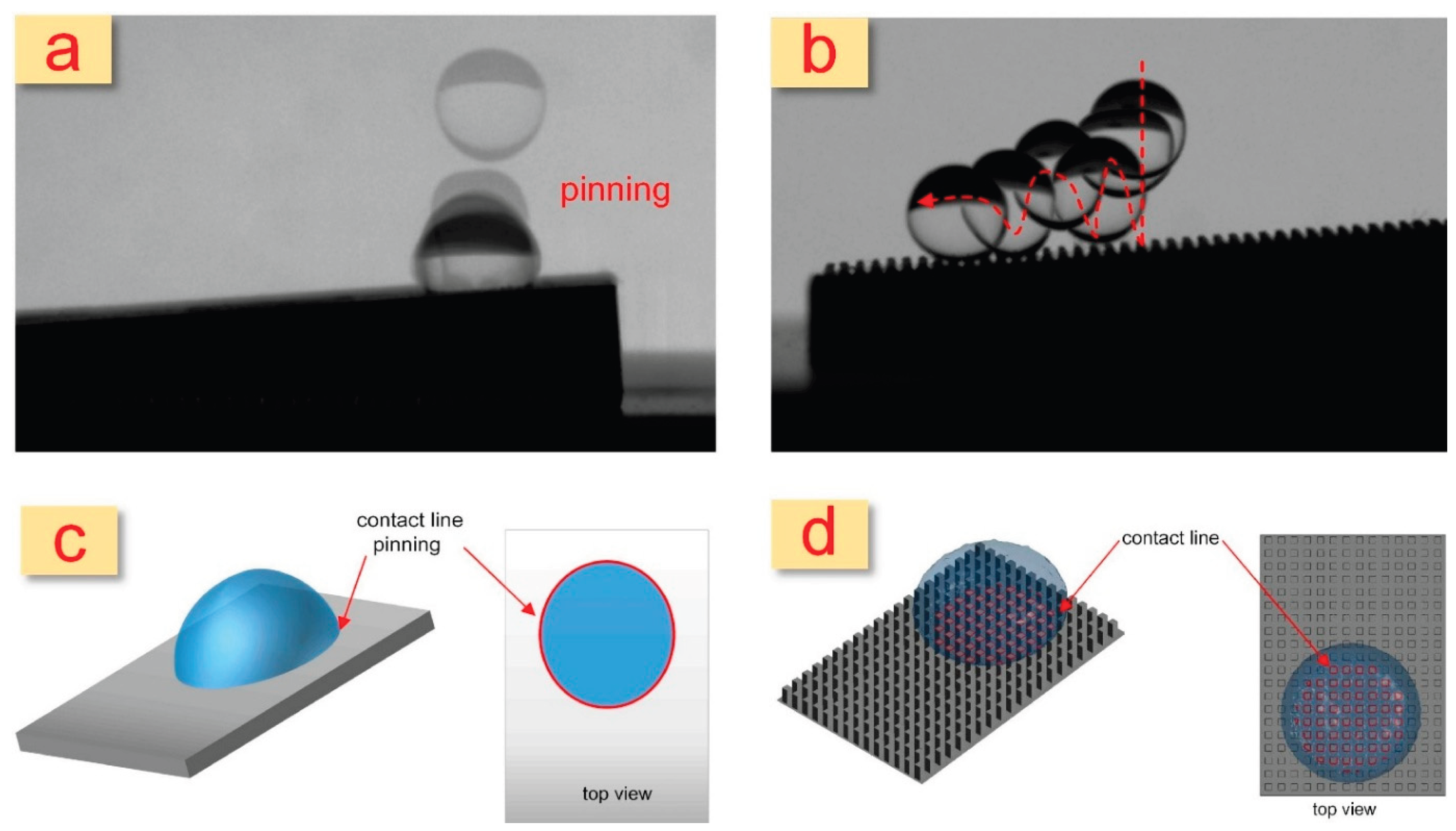 Preprints 207610 g007
