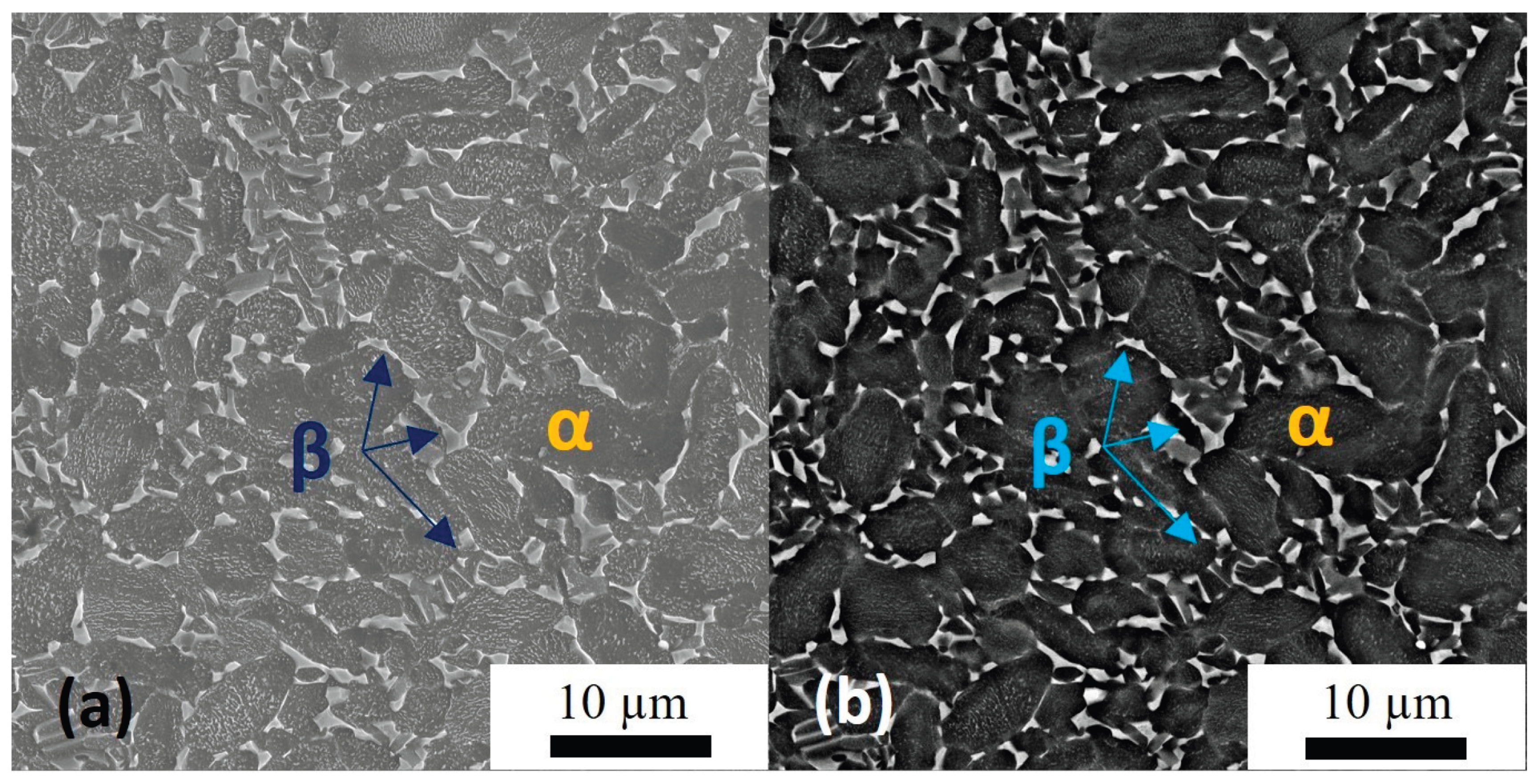 Preprints 207610 g020