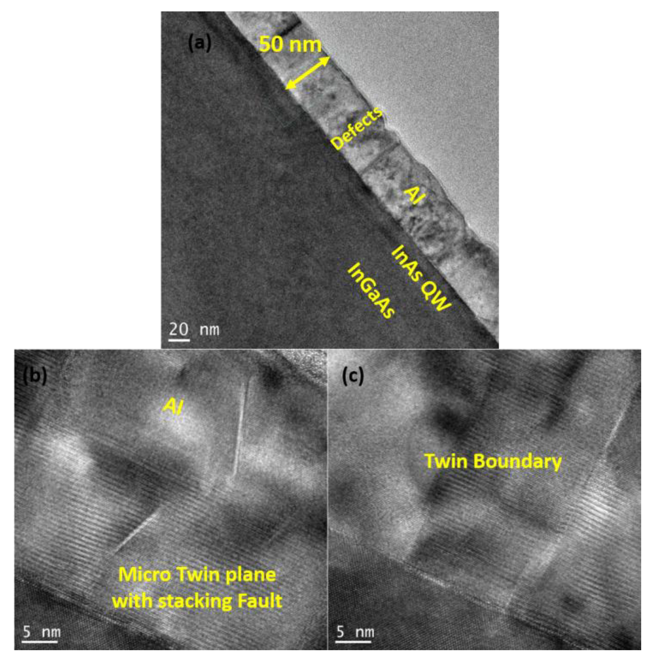 Preprints 146134 g007