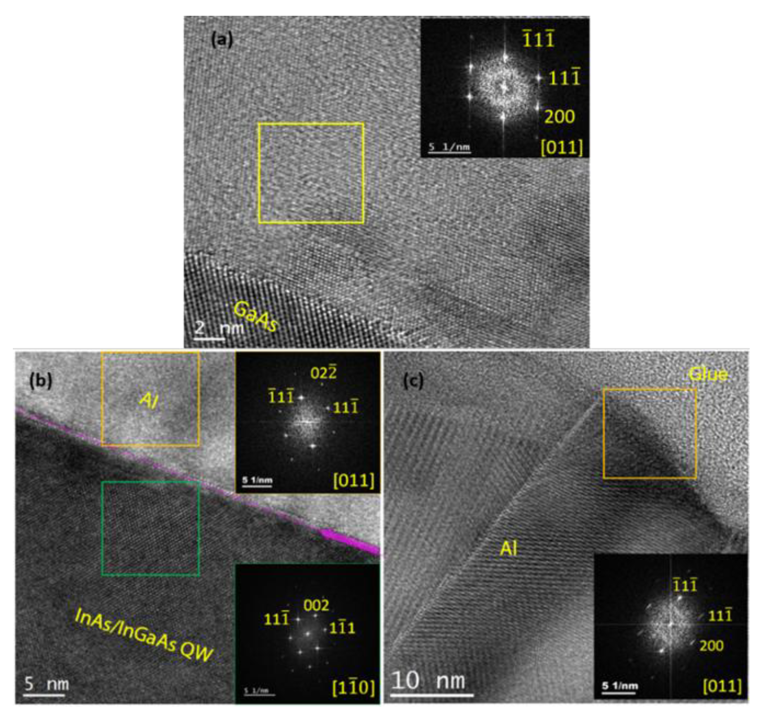 Preprints 146134 g008