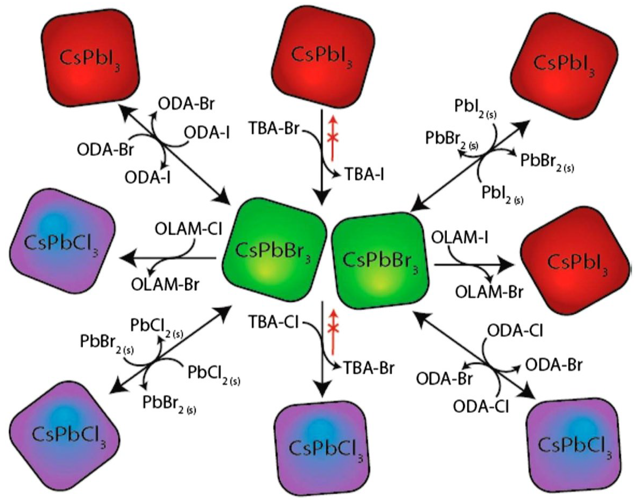 Preprints 102302 g007