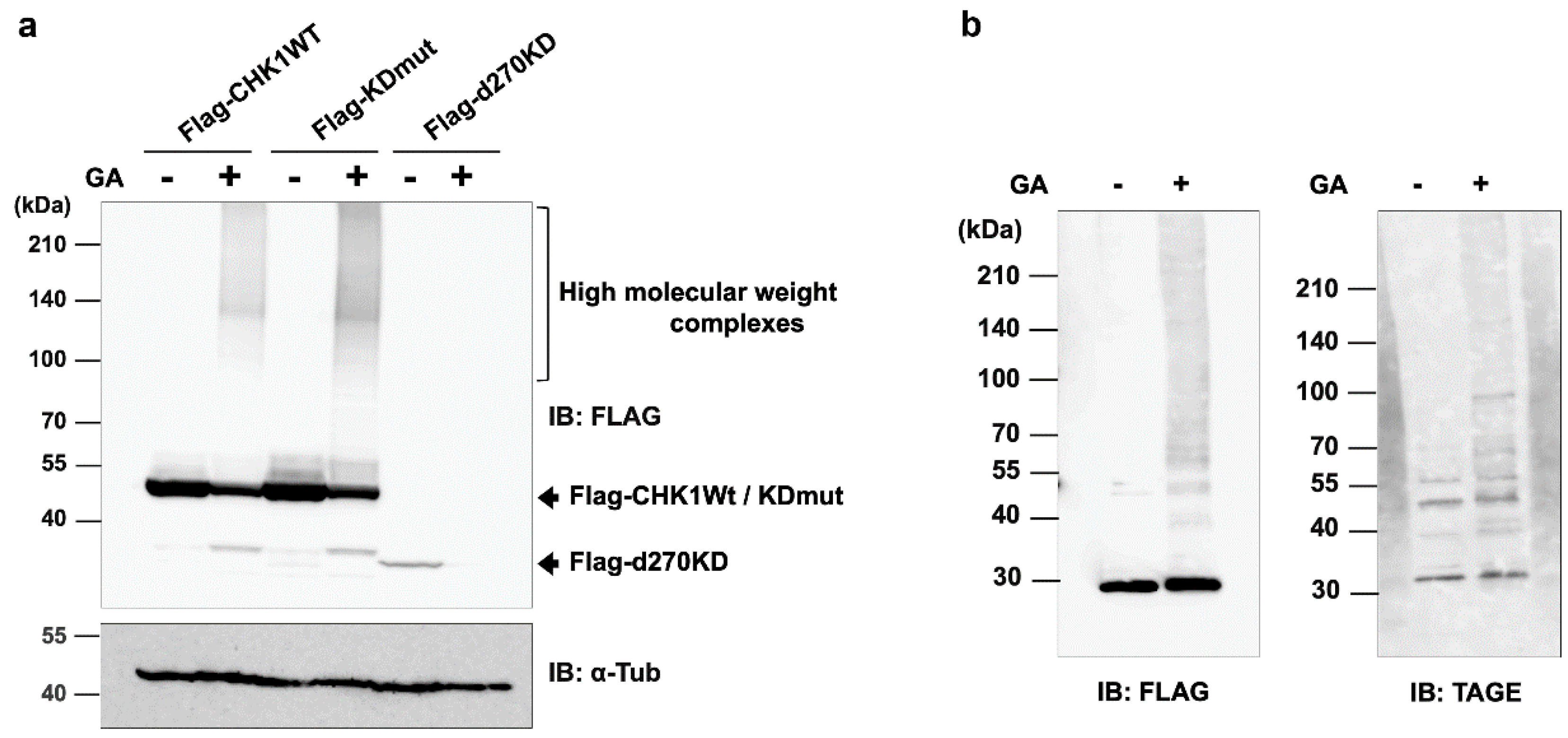 Preprints 74684 g001