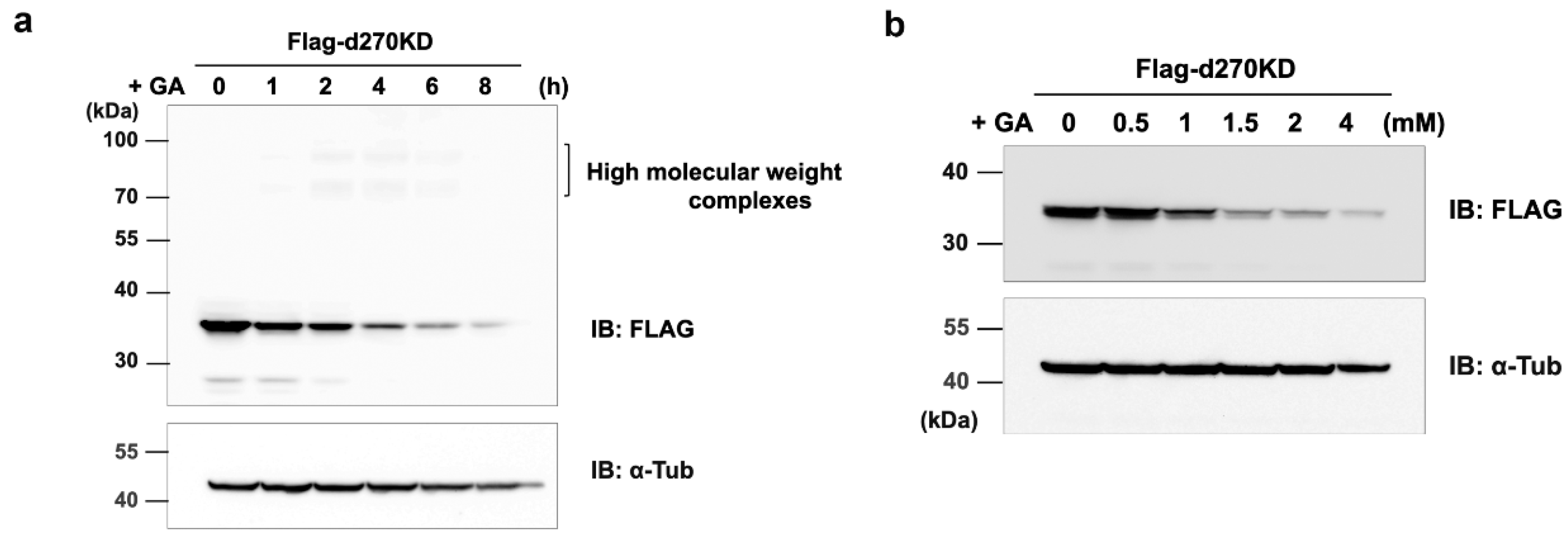 Preprints 74684 g002