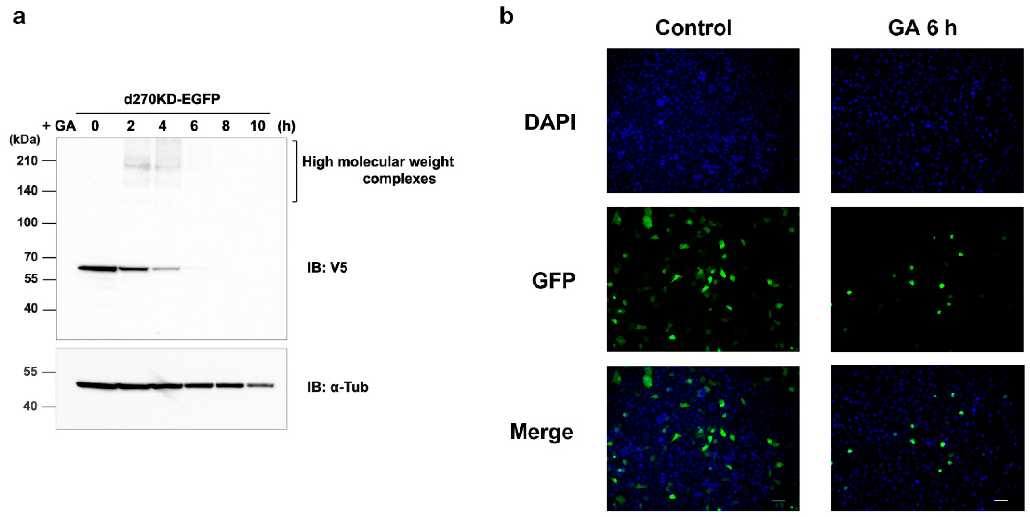 Preprints 74684 g003
