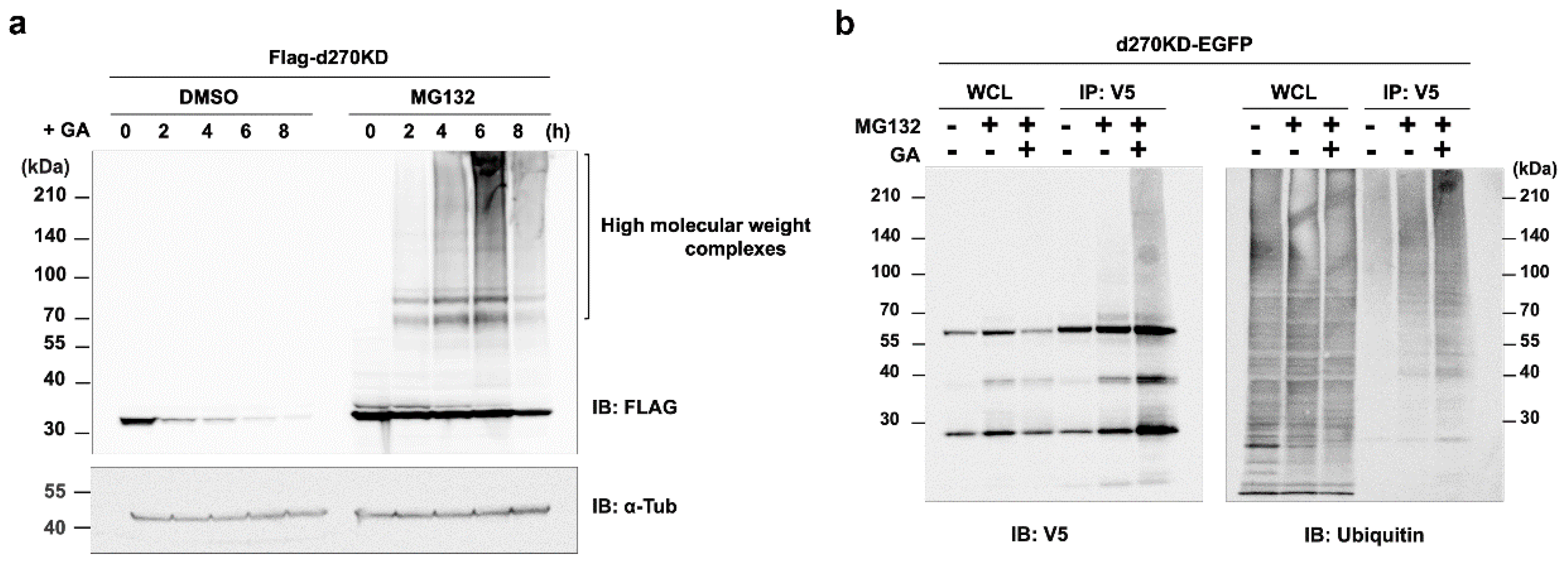 Preprints 74684 g005