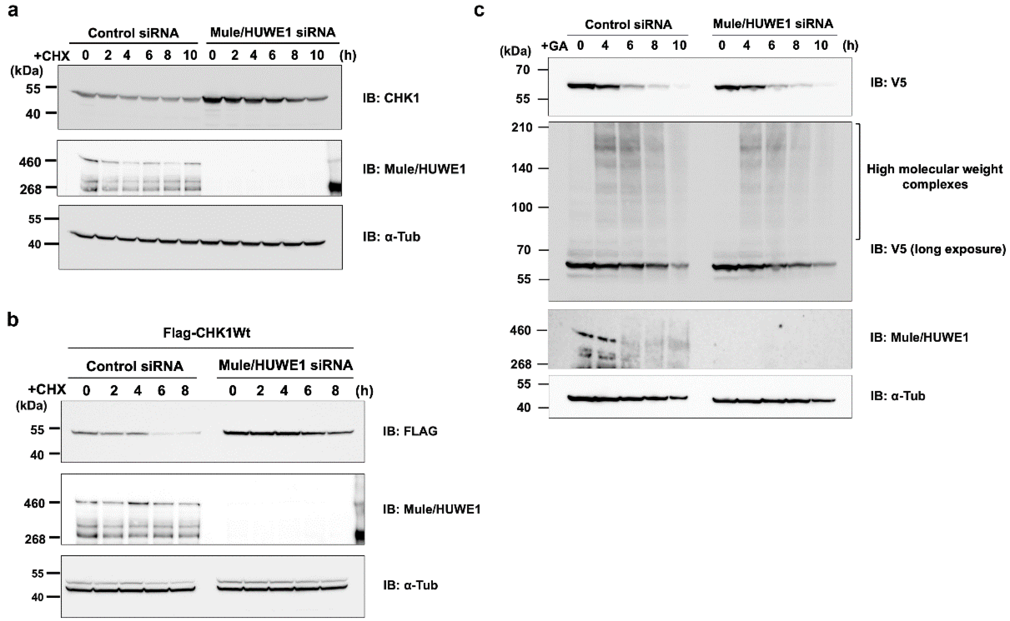 Preprints 74684 g006