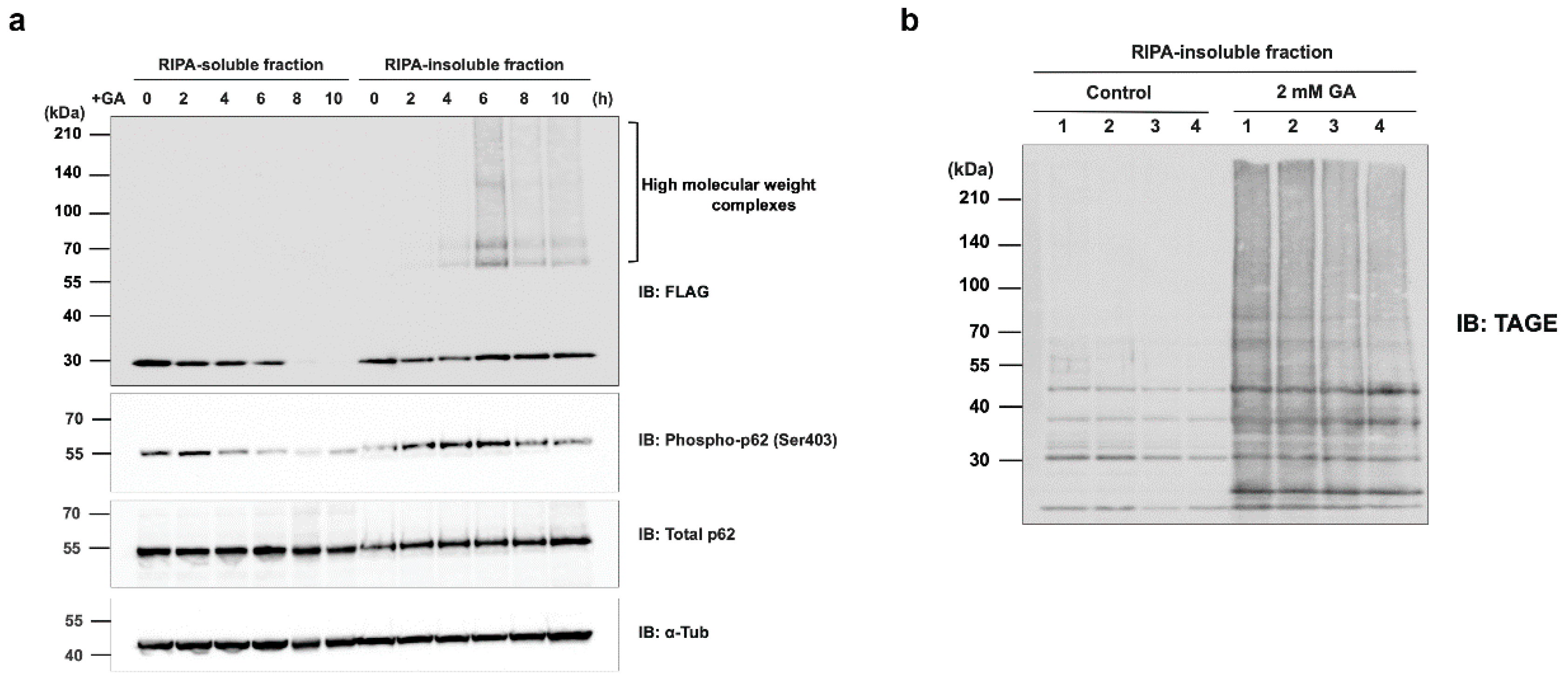 Preprints 74684 g007