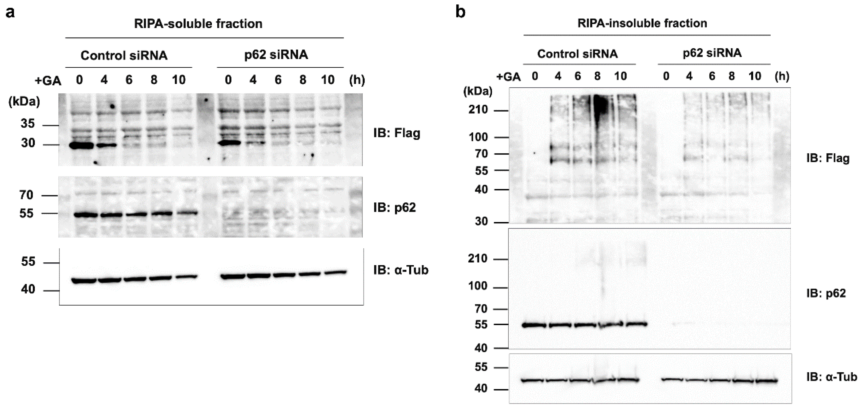 Preprints 74684 g008